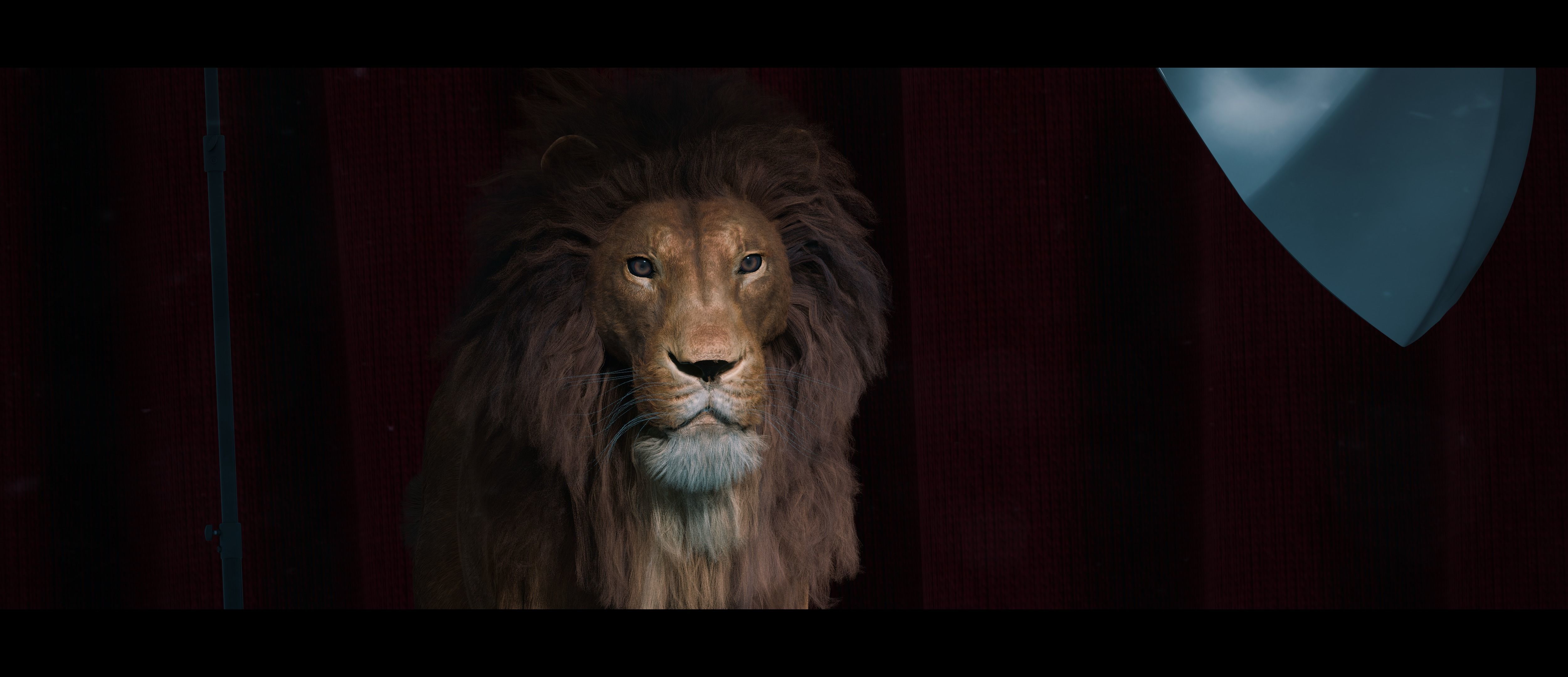Lion Photorealistic Rigged 3d Blender 4K model  3D model_26
