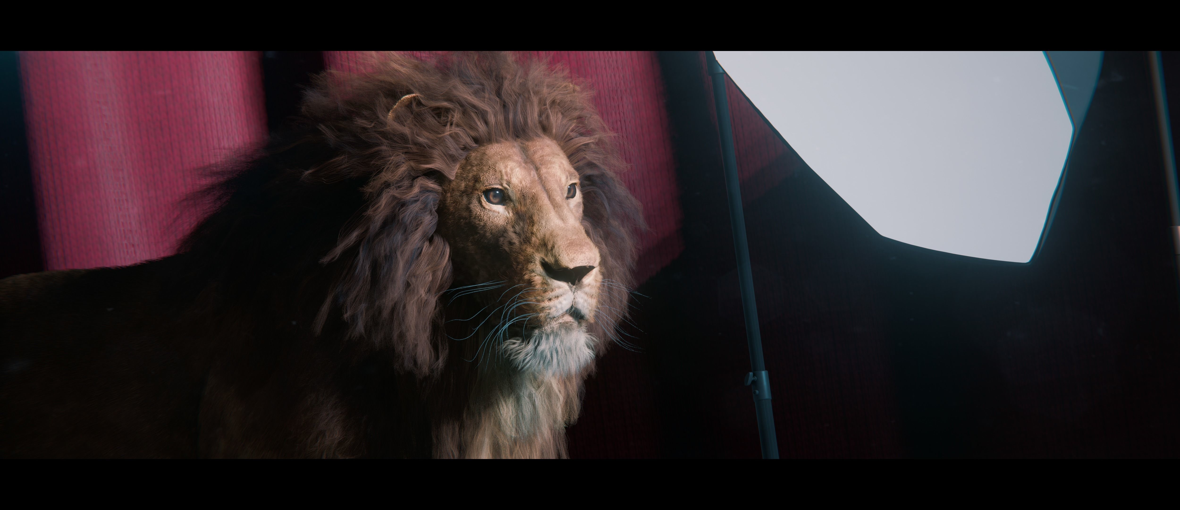 Lion Photorealistic Rigged 3d Blender 4K model  3D model_18