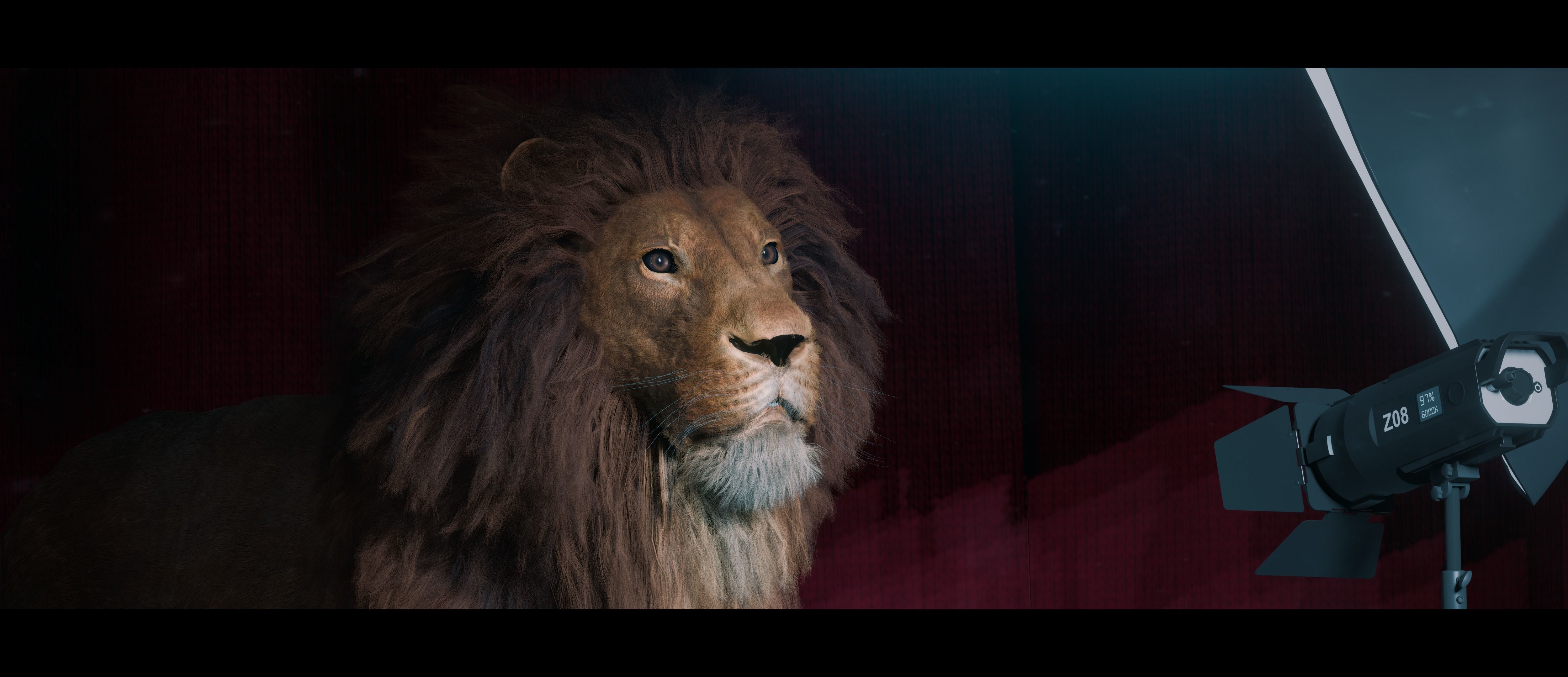 Lion Photorealistic Rigged 3d Blender 4K model  3D model_49