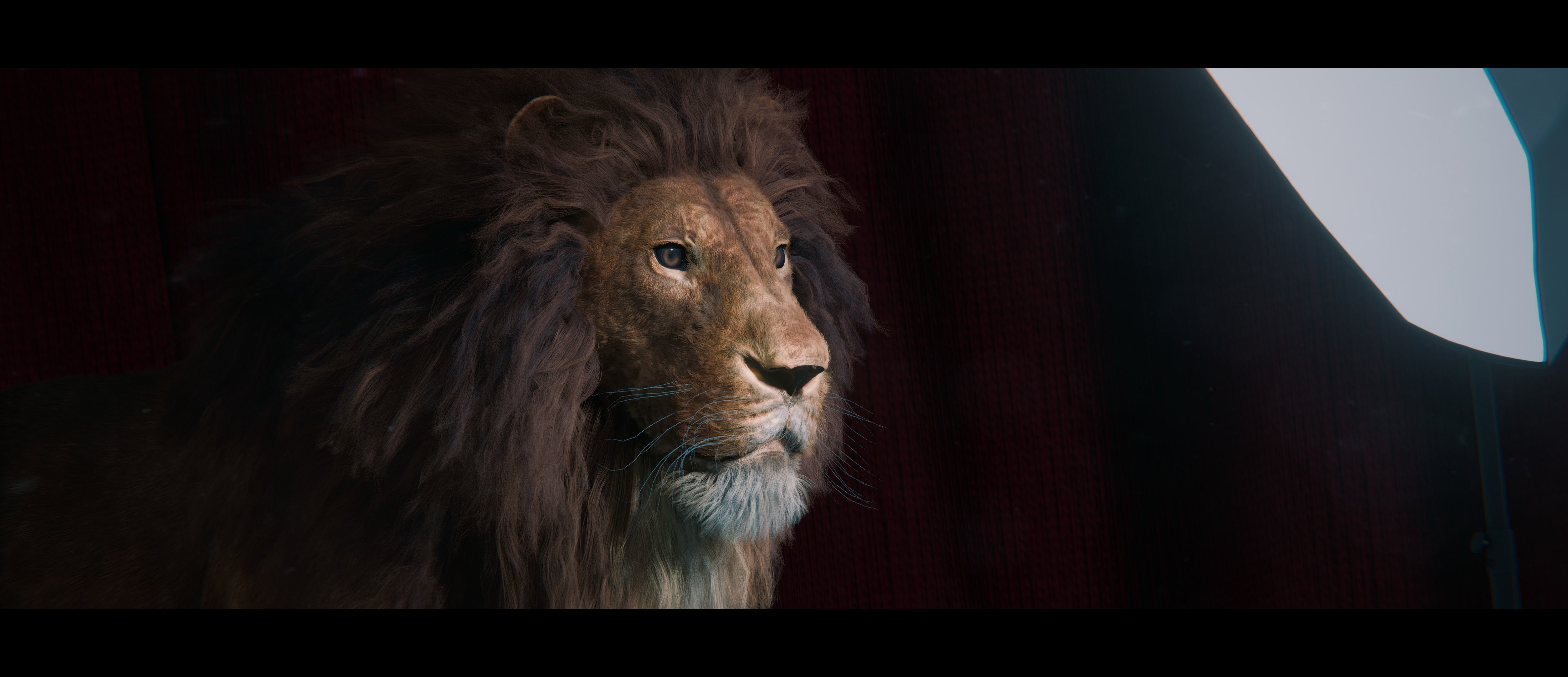 Lion Photorealistic Rigged 3d Blender 4K model  3D model_33