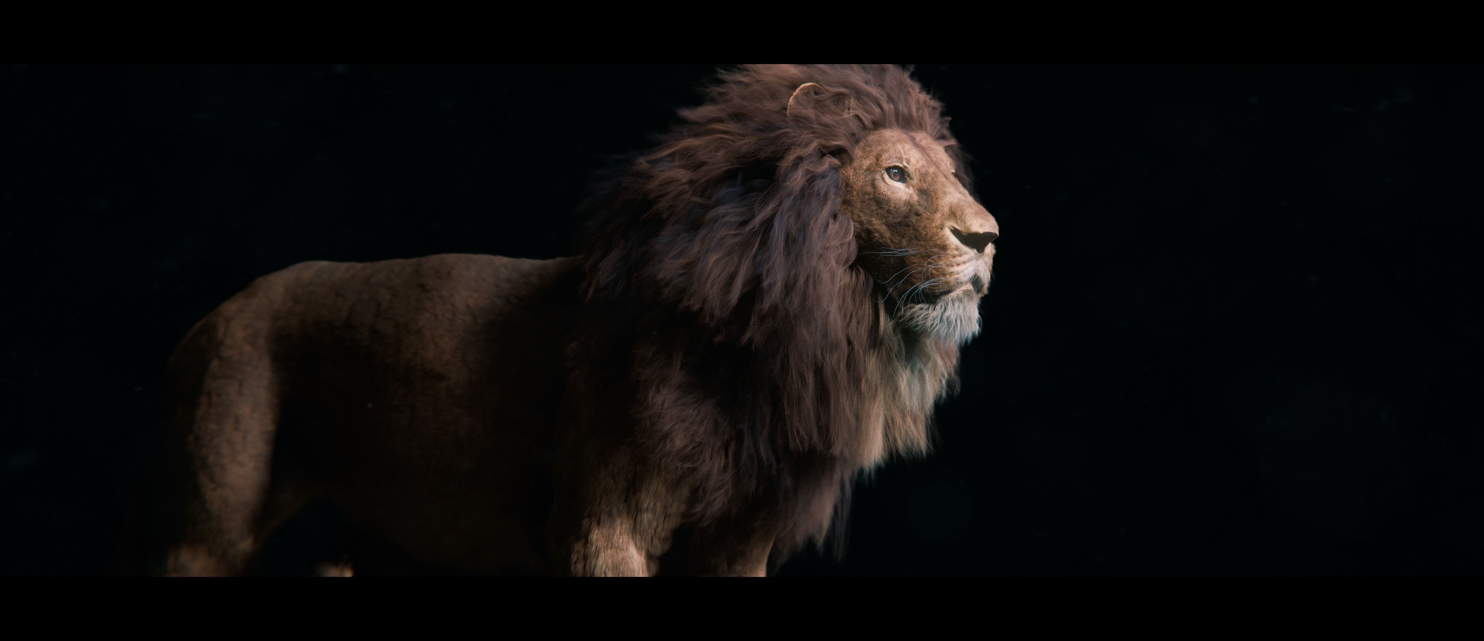 Lion Photorealistic Rigged 3d Blender 4K model  3D model_20
