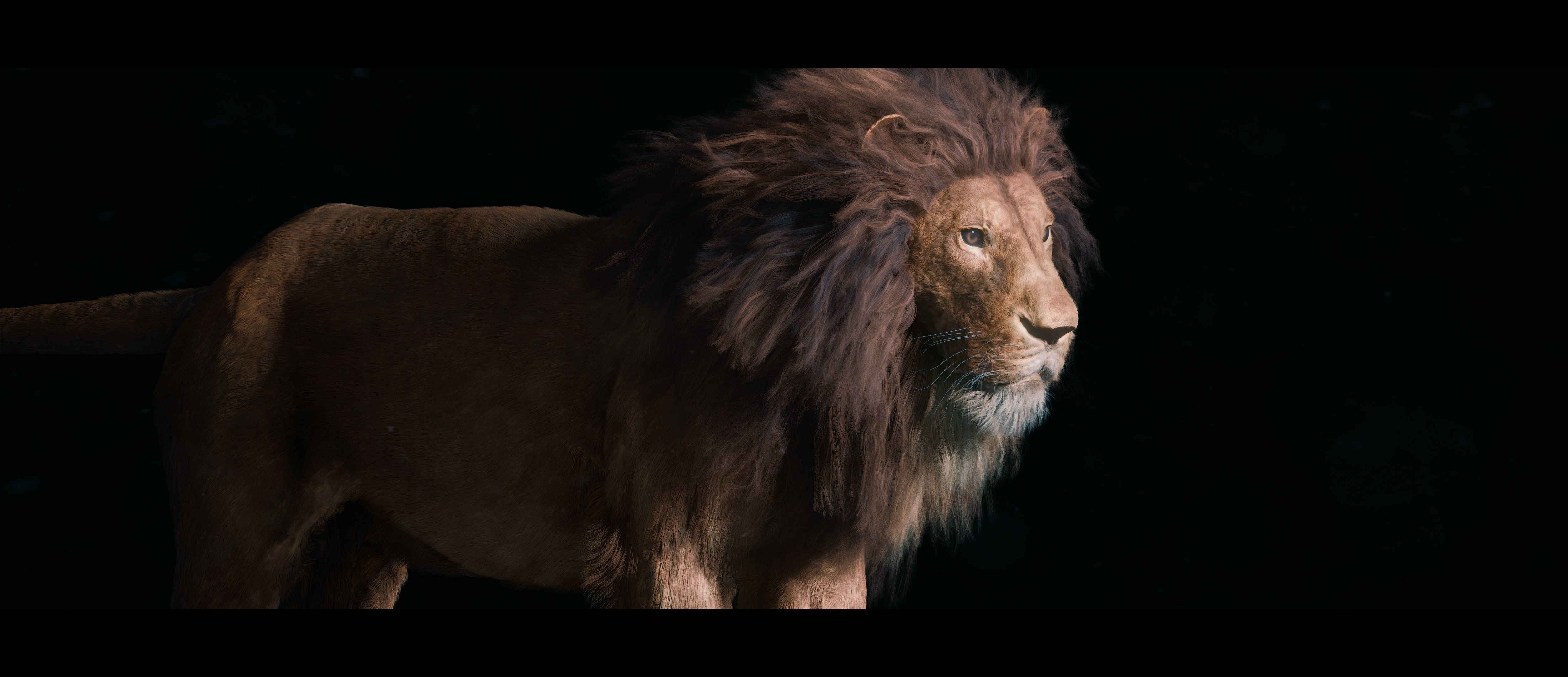 Lion Photorealistic Rigged 3d Blender 4K model  3D model_39
