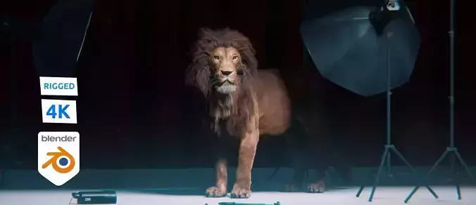 Lion Photorealistic Rigged 3d Blender 4K model  3D model