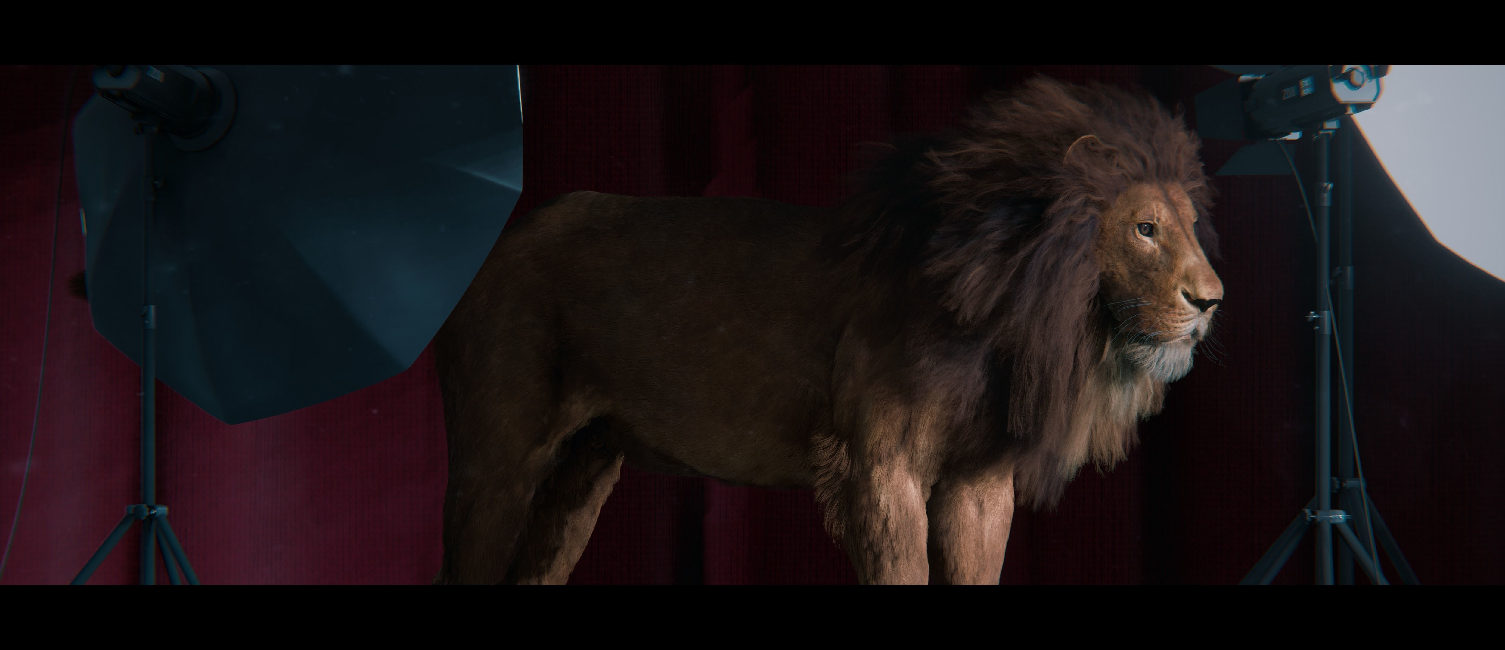 Lion Photorealistic Rigged 3d Blender 4K model  3D model_35