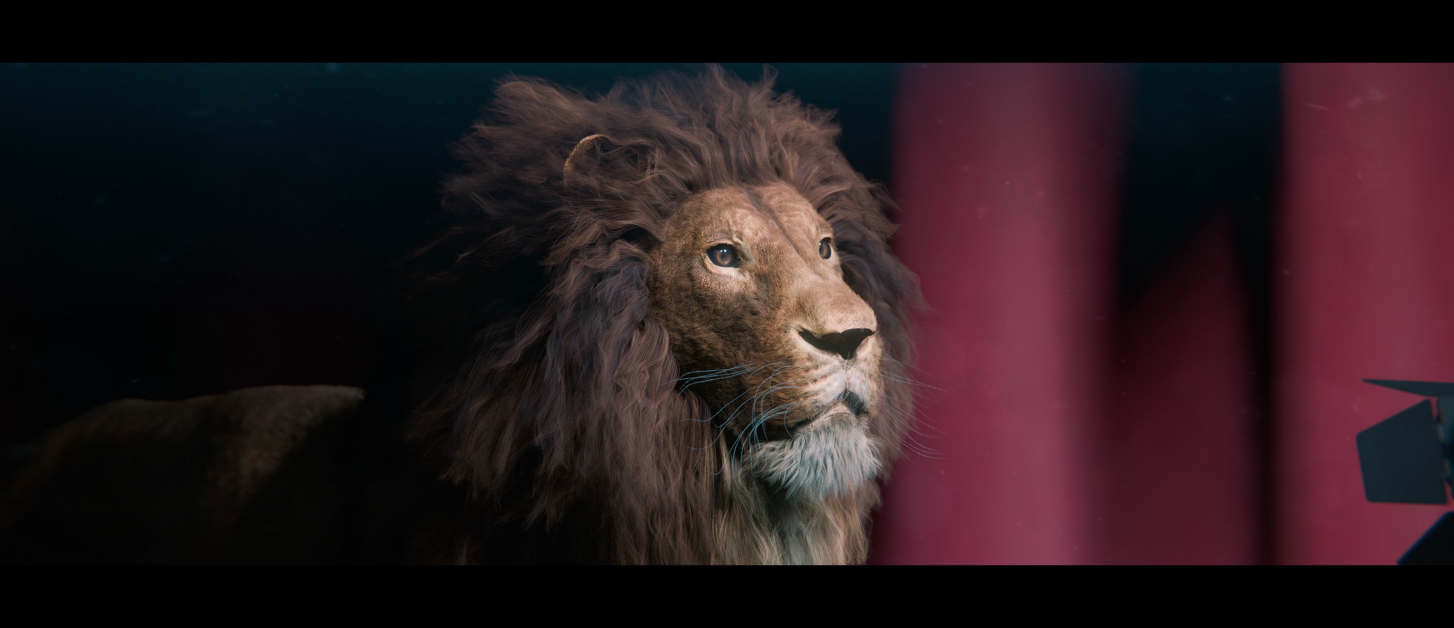 Lion Photorealistic Rigged 3d Blender 4K model  3D model_6