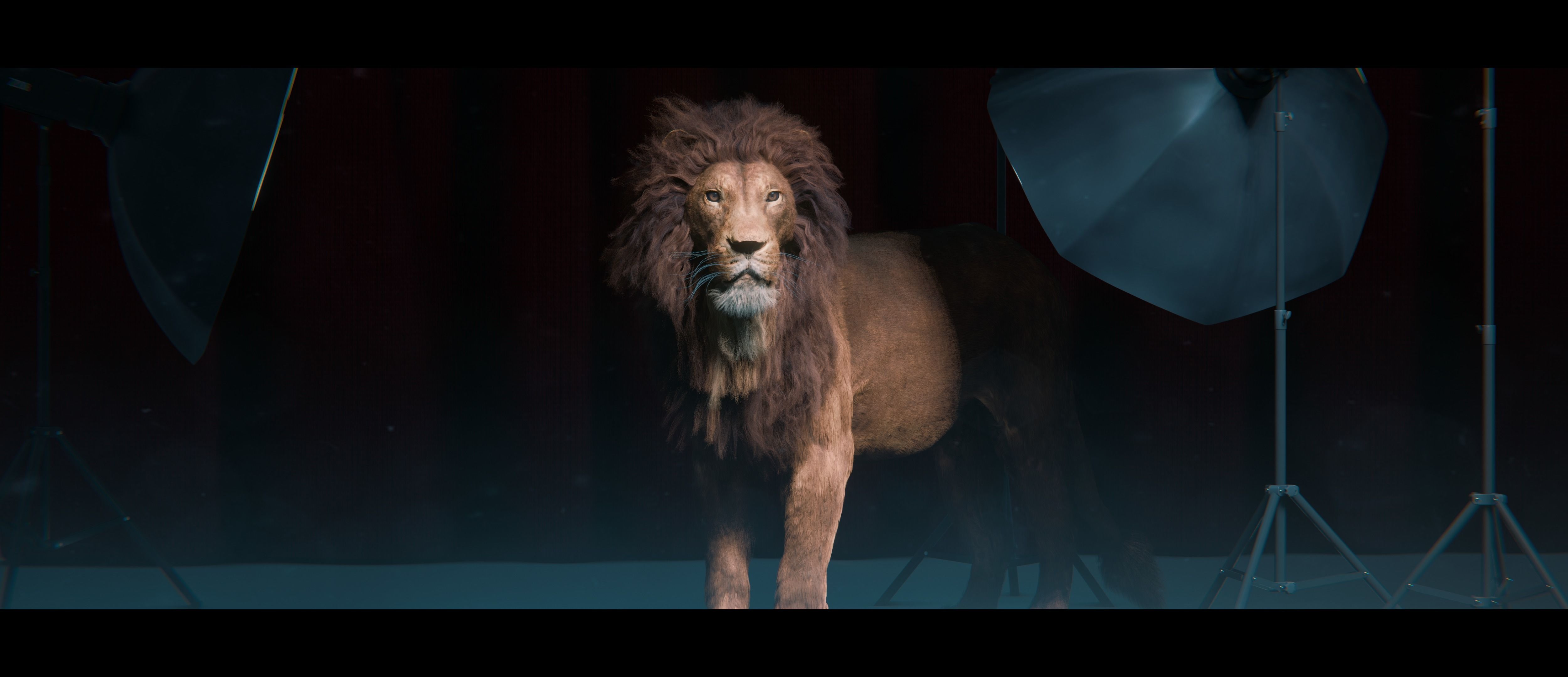 Lion Photorealistic Rigged 3d Blender 4K model  3D model_12