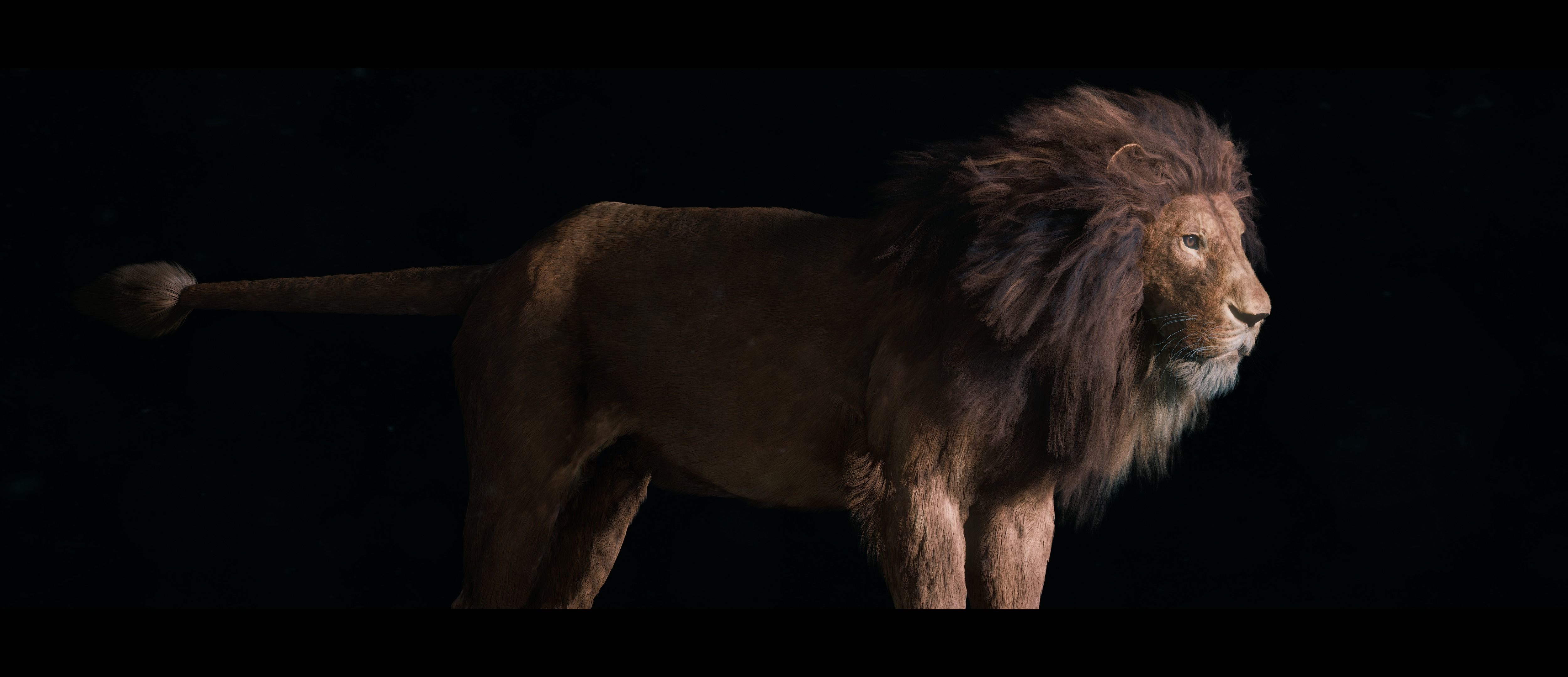 Lion Photorealistic Rigged 3d Blender 4K model  3D model_22