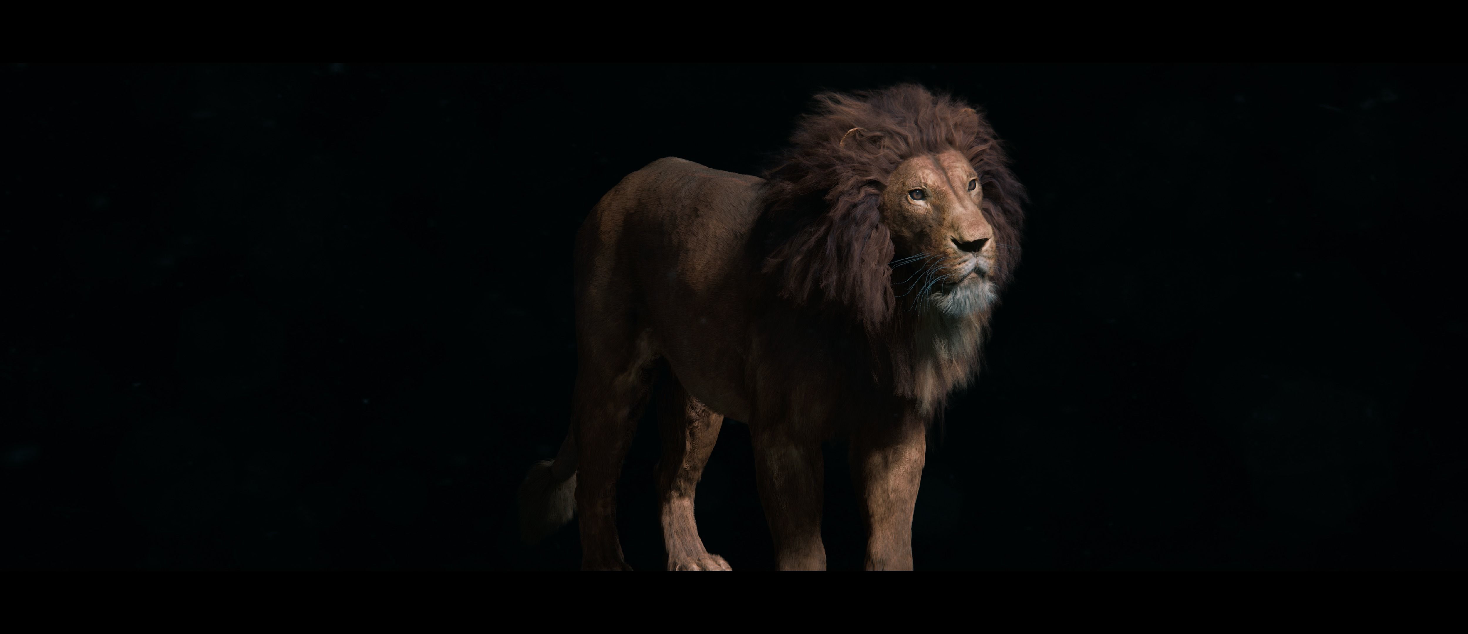 Lion Photorealistic Rigged 3d Blender 4K model  3D model_7