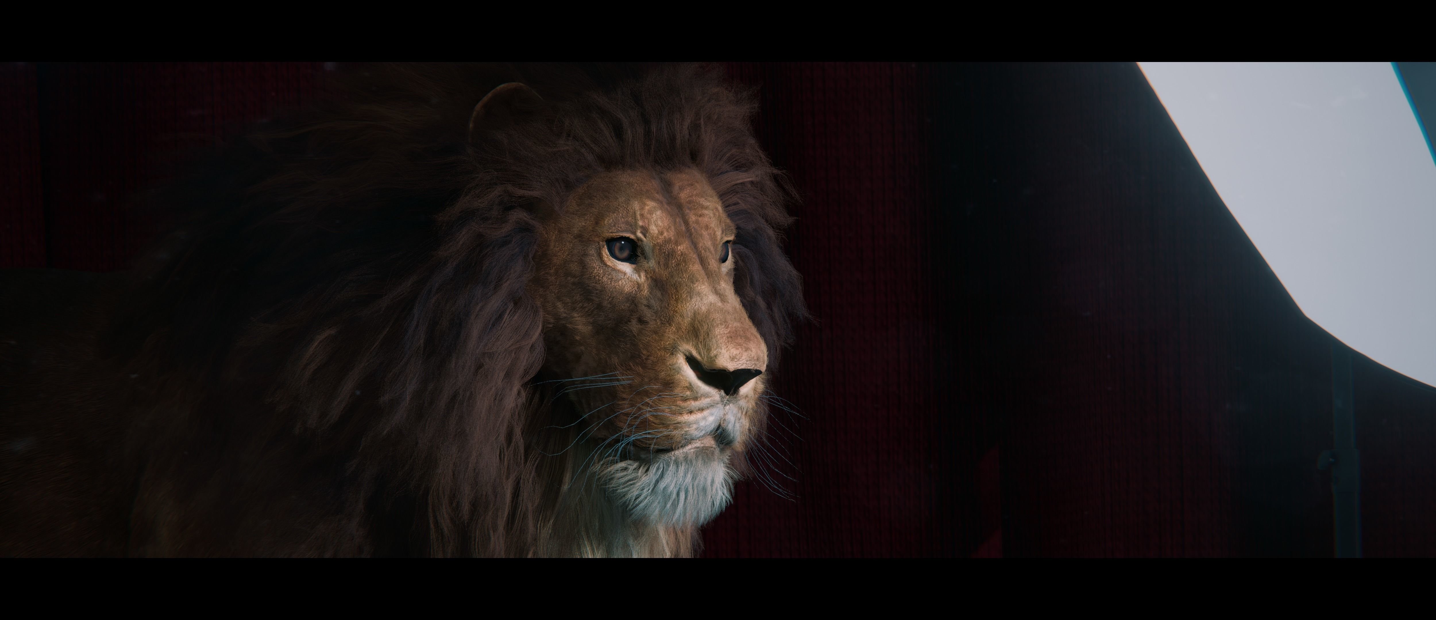 Lion Photorealistic Rigged 3d Blender 4K model  3D model_32