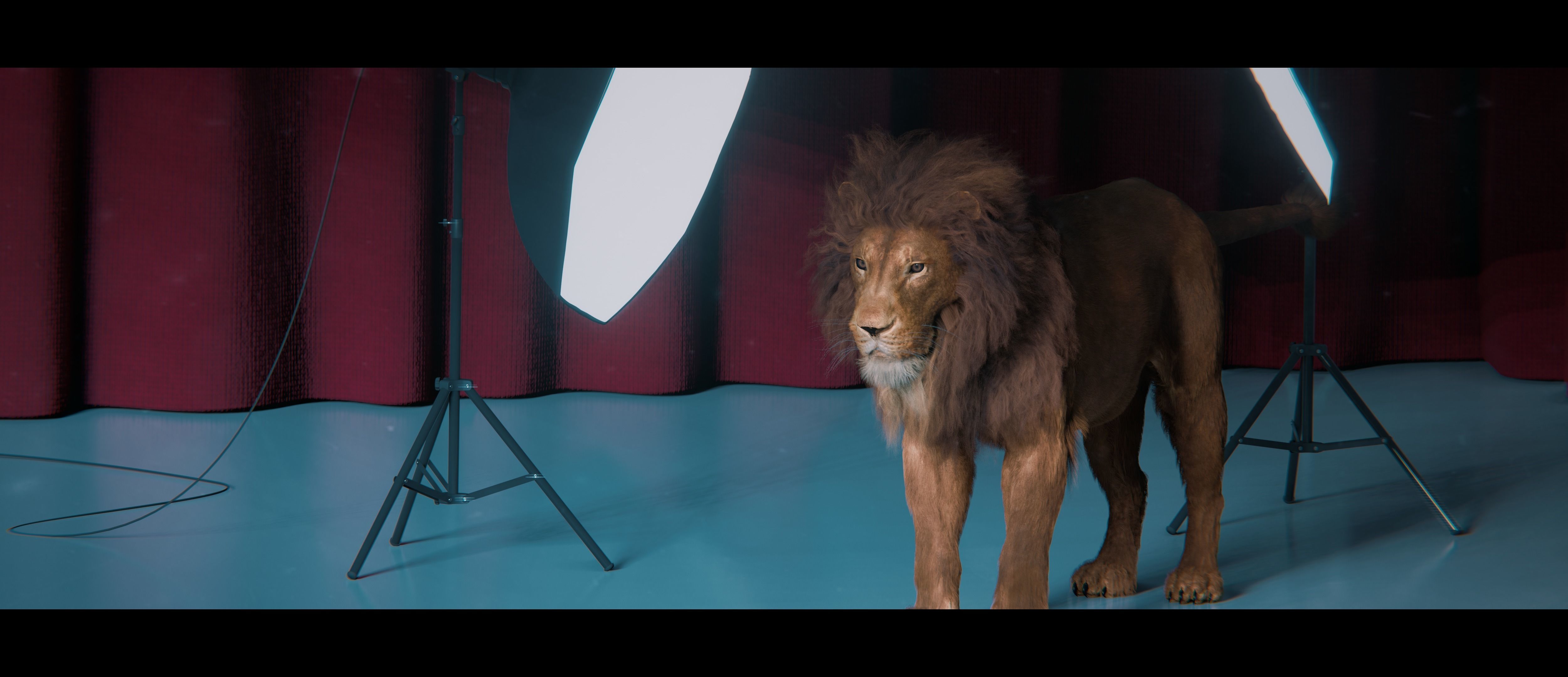 Lion Photorealistic Rigged 3d Blender 4K model  3D model_19