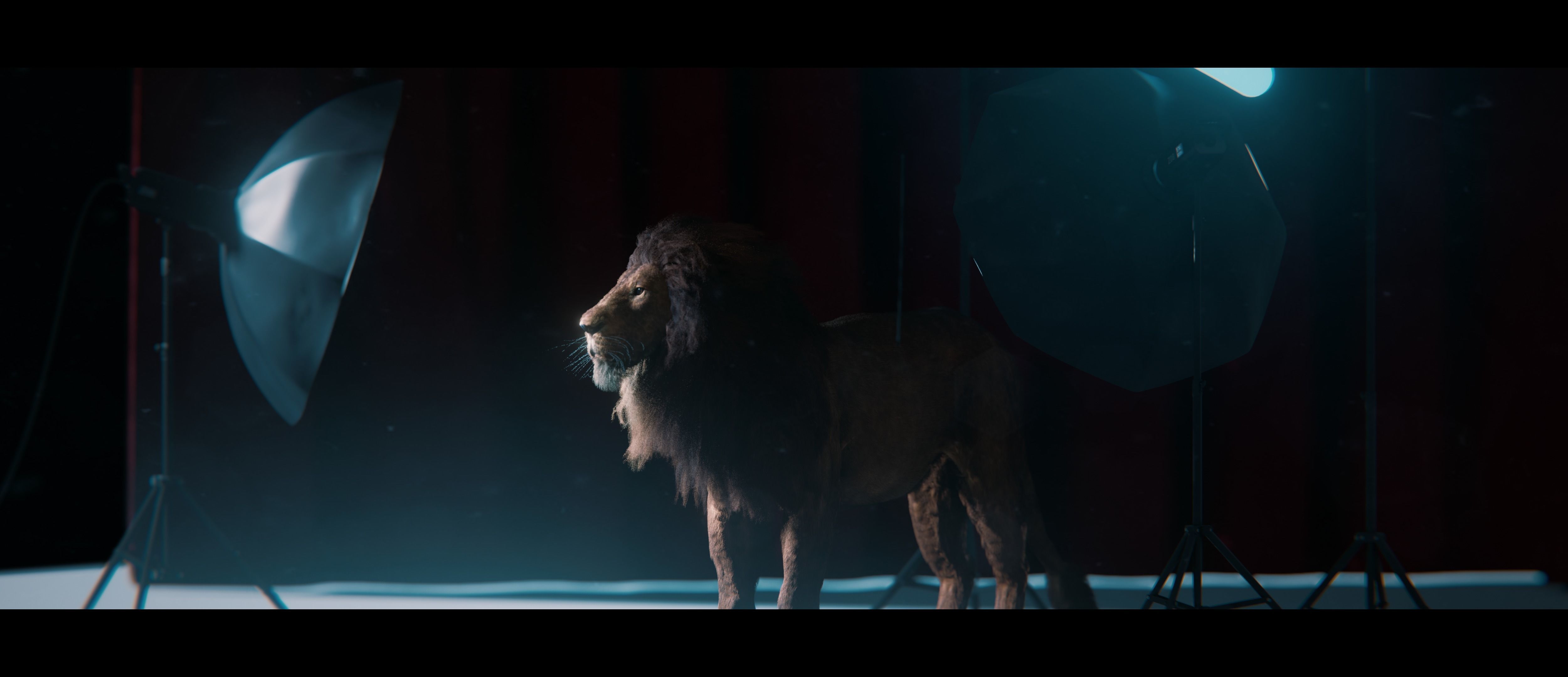 Lion Photorealistic Rigged 3d Blender 4K model  3D model_5