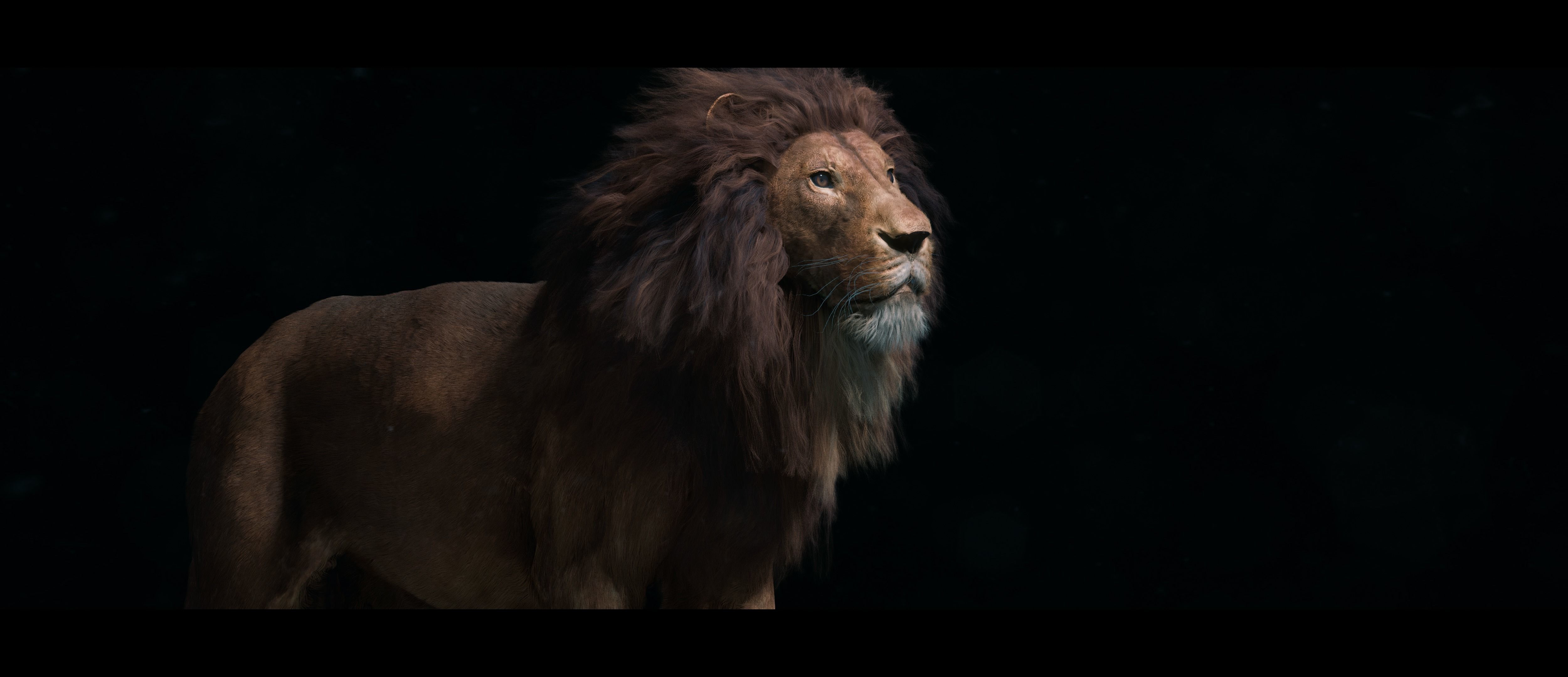 Lion Photorealistic Rigged 3d Blender 4K model  3D model_25