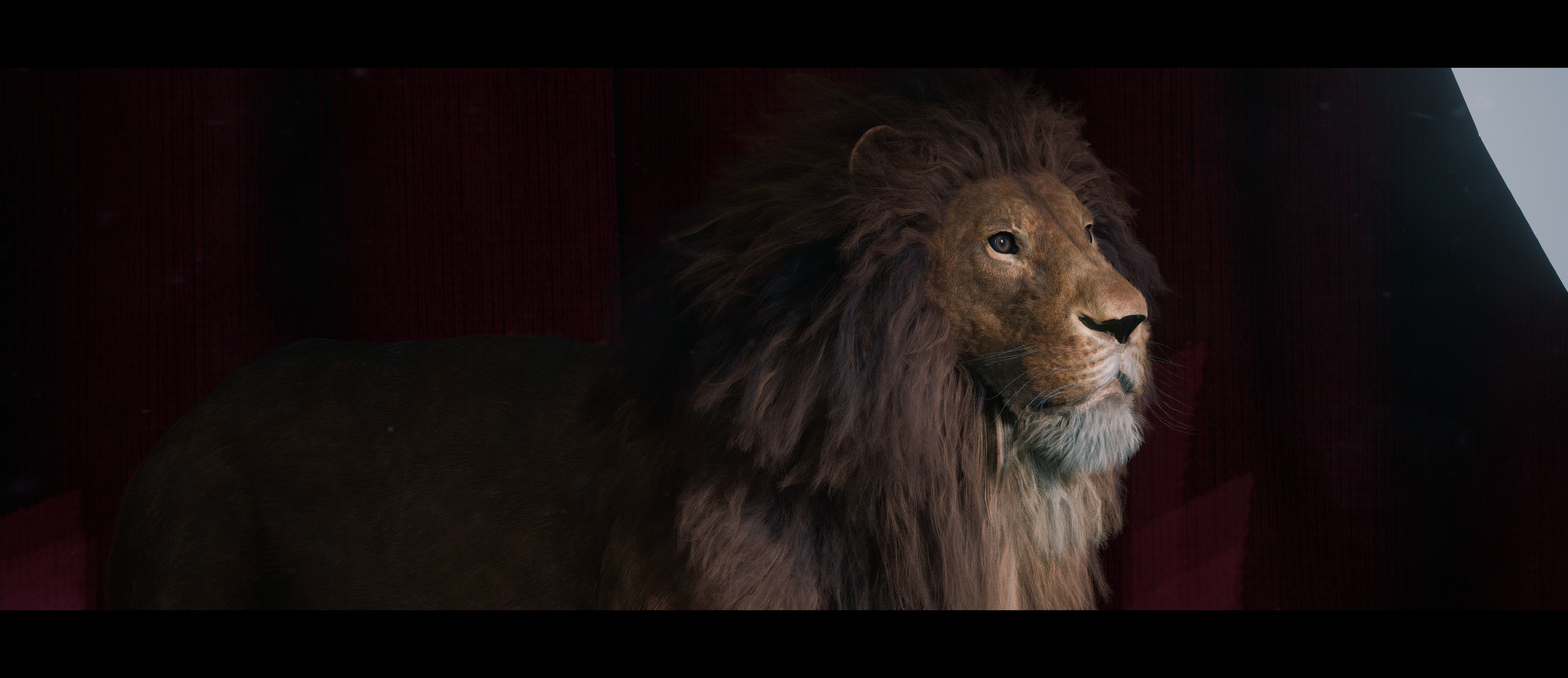 Lion Photorealistic Rigged 3d Blender 4K model  3D model_45
