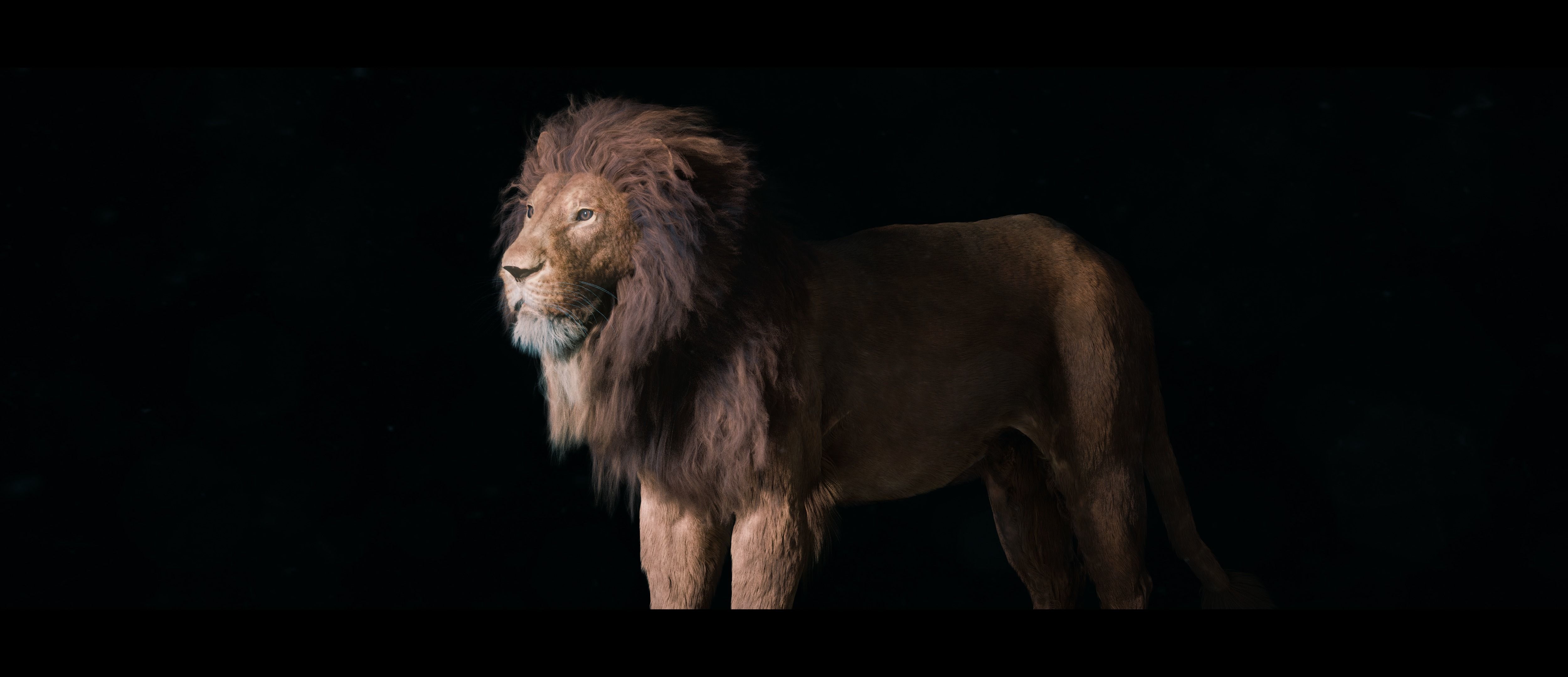 Lion Photorealistic Rigged 3d Blender 4K model  3D model_40