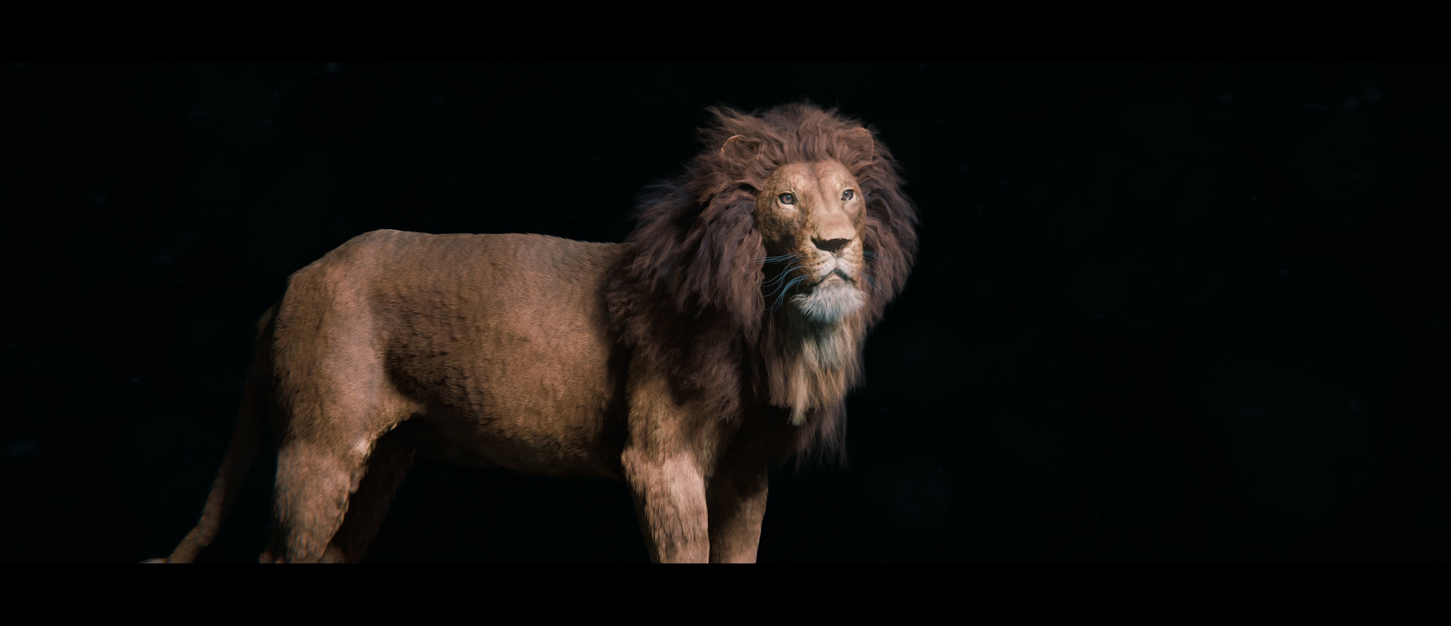 Lion Photorealistic Rigged 3d Blender 4K model  3D model_17
