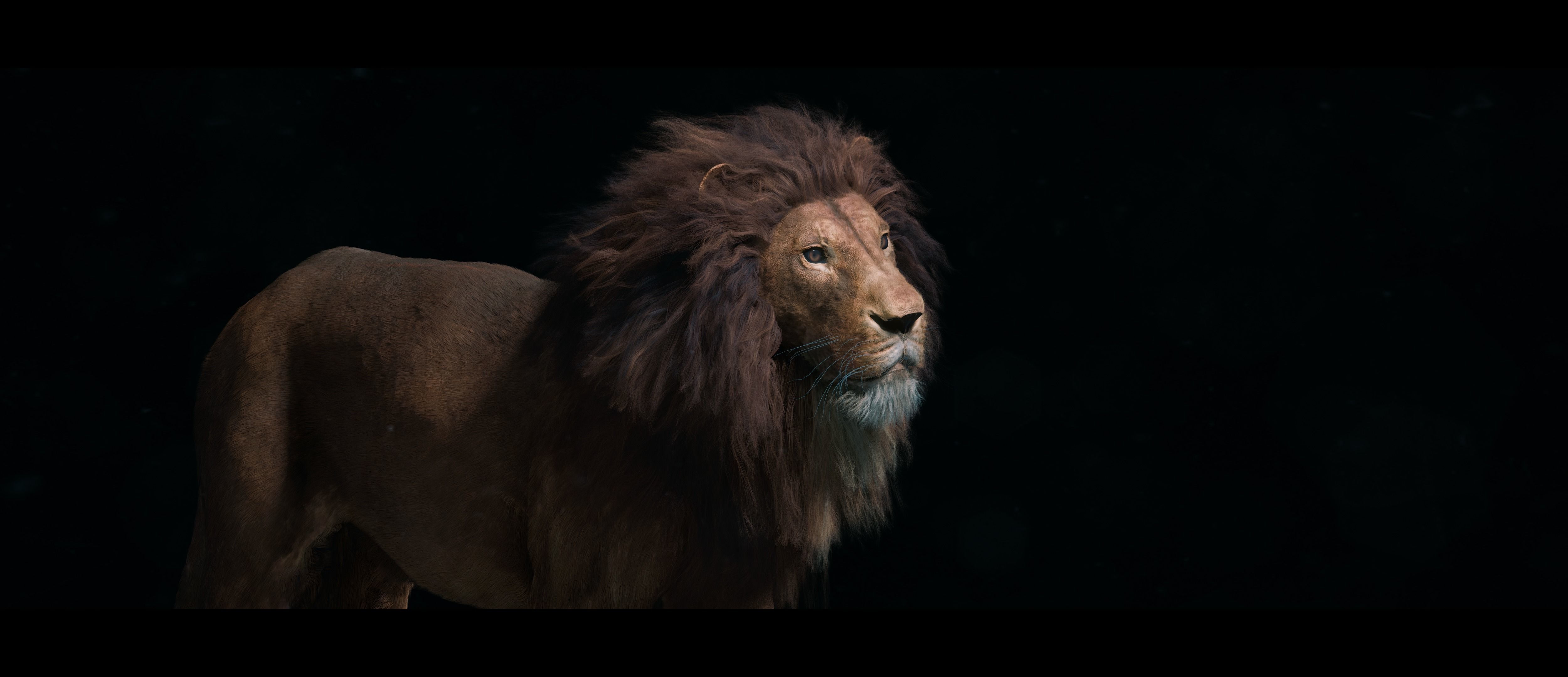 Lion Photorealistic Rigged 3d Blender 4K model  3D model_30