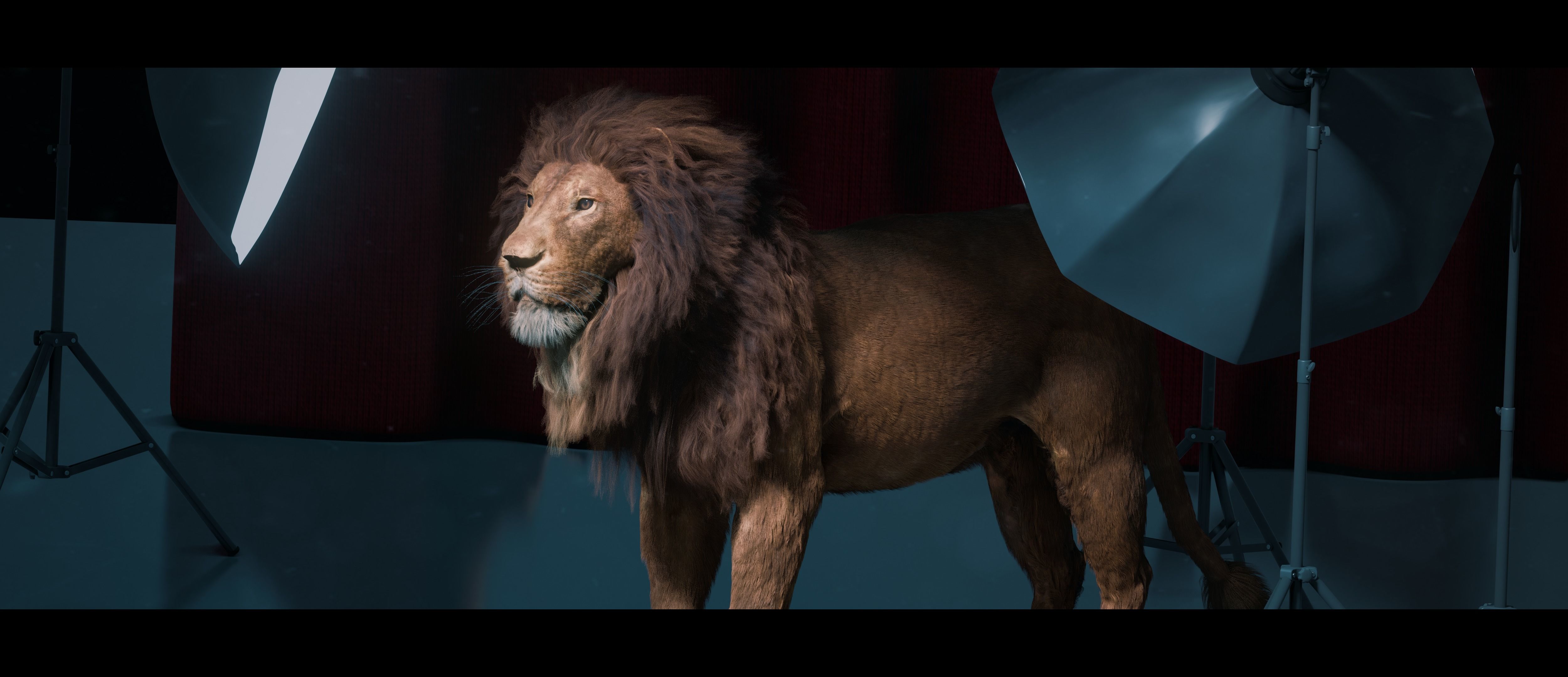 Lion Photorealistic Rigged 3d Blender 4K model  3D model_48