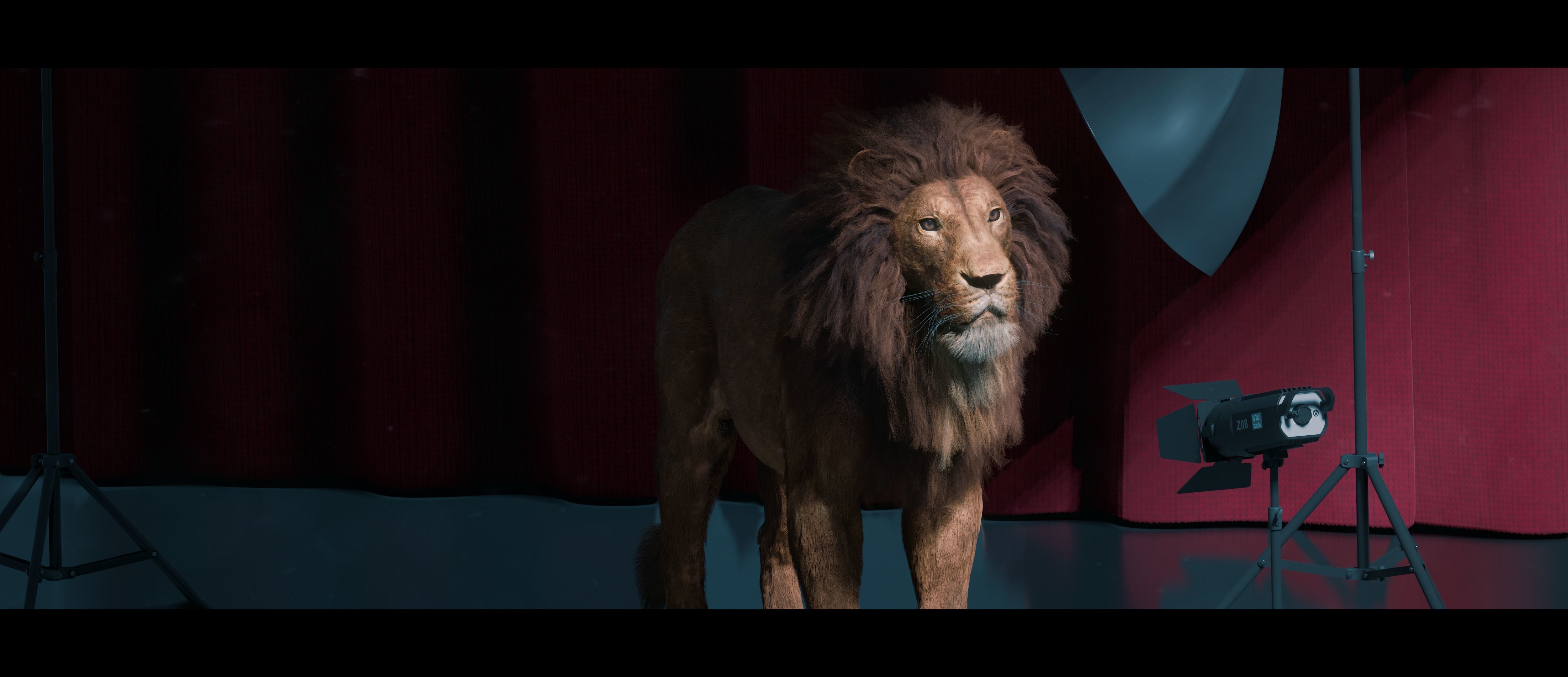 Lion Photorealistic Rigged 3d Blender 4K model  3D model_36