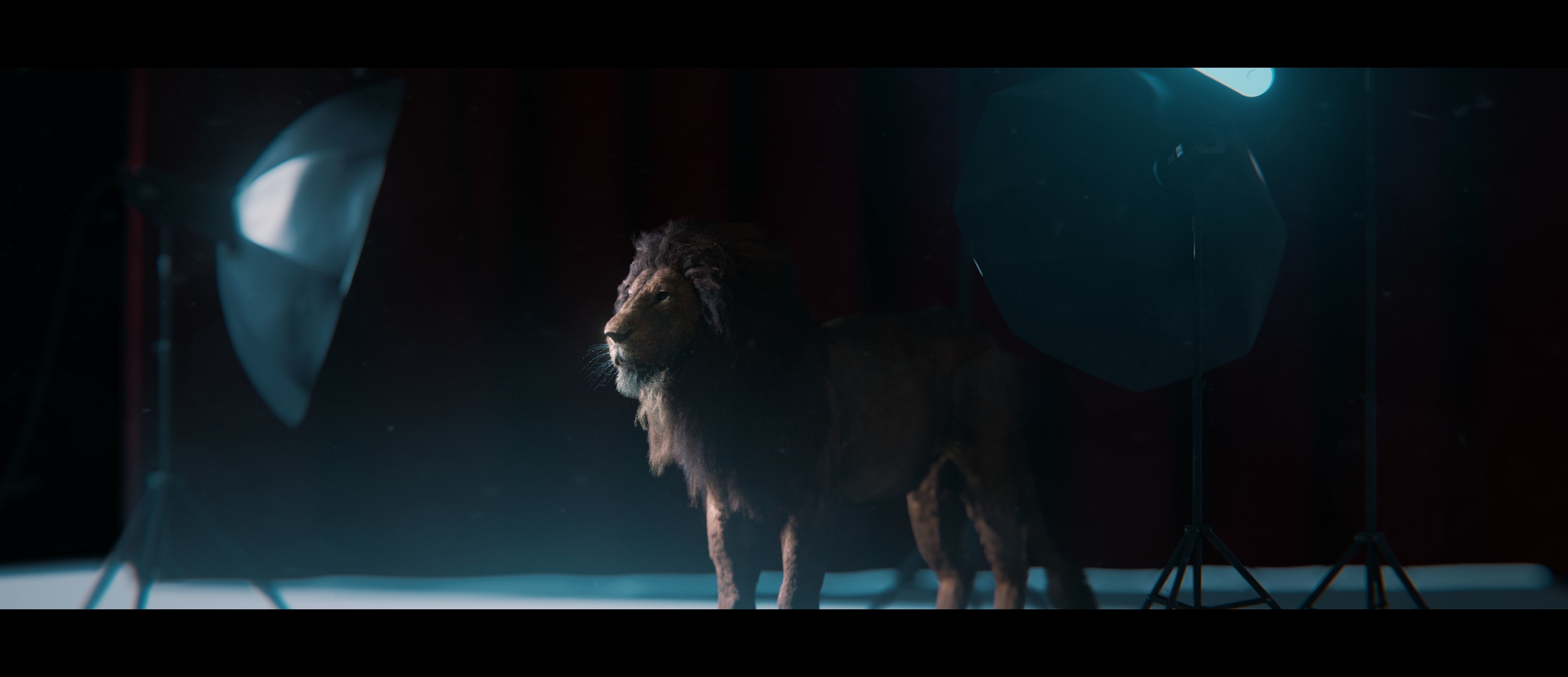 Lion Photorealistic Rigged 3d Blender 4K model  3D model_28