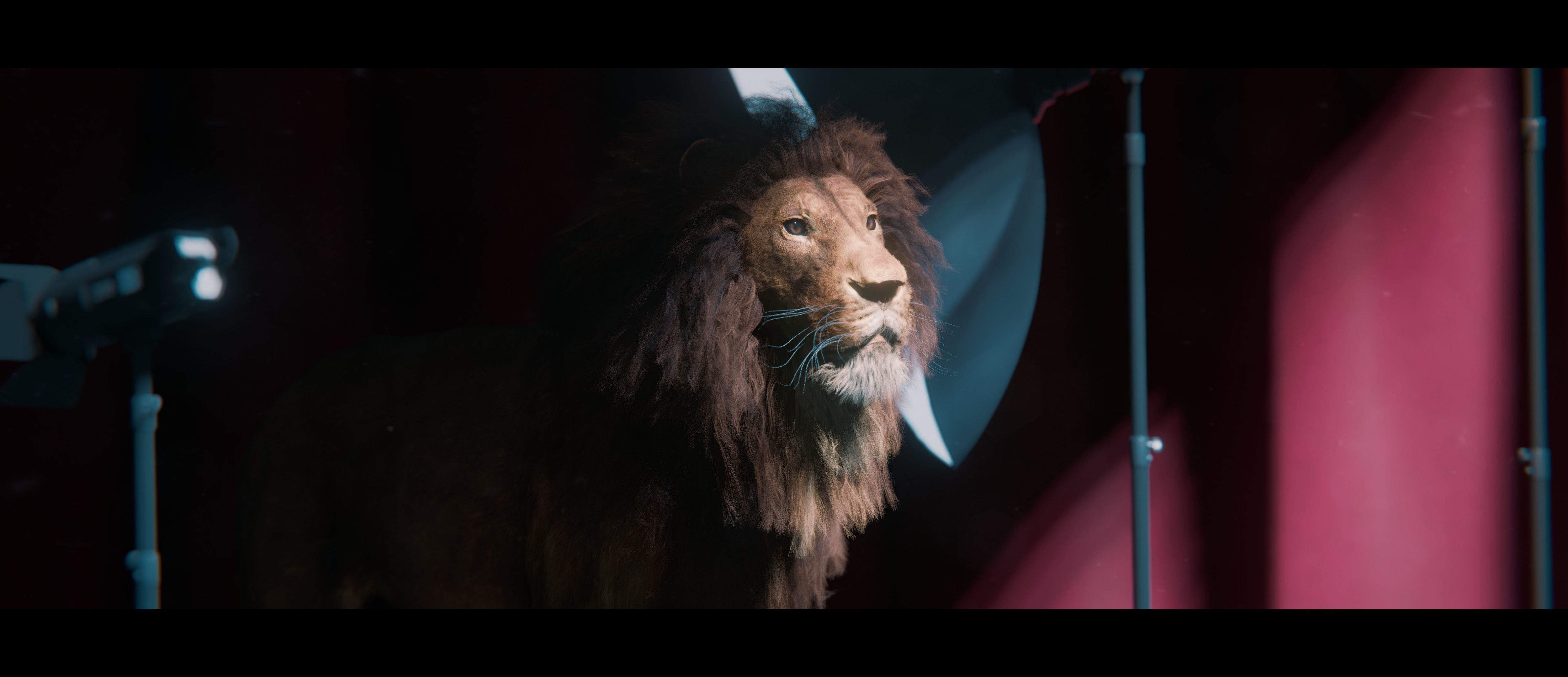 Lion Photorealistic Rigged 3d Blender 4K model  3D model_16