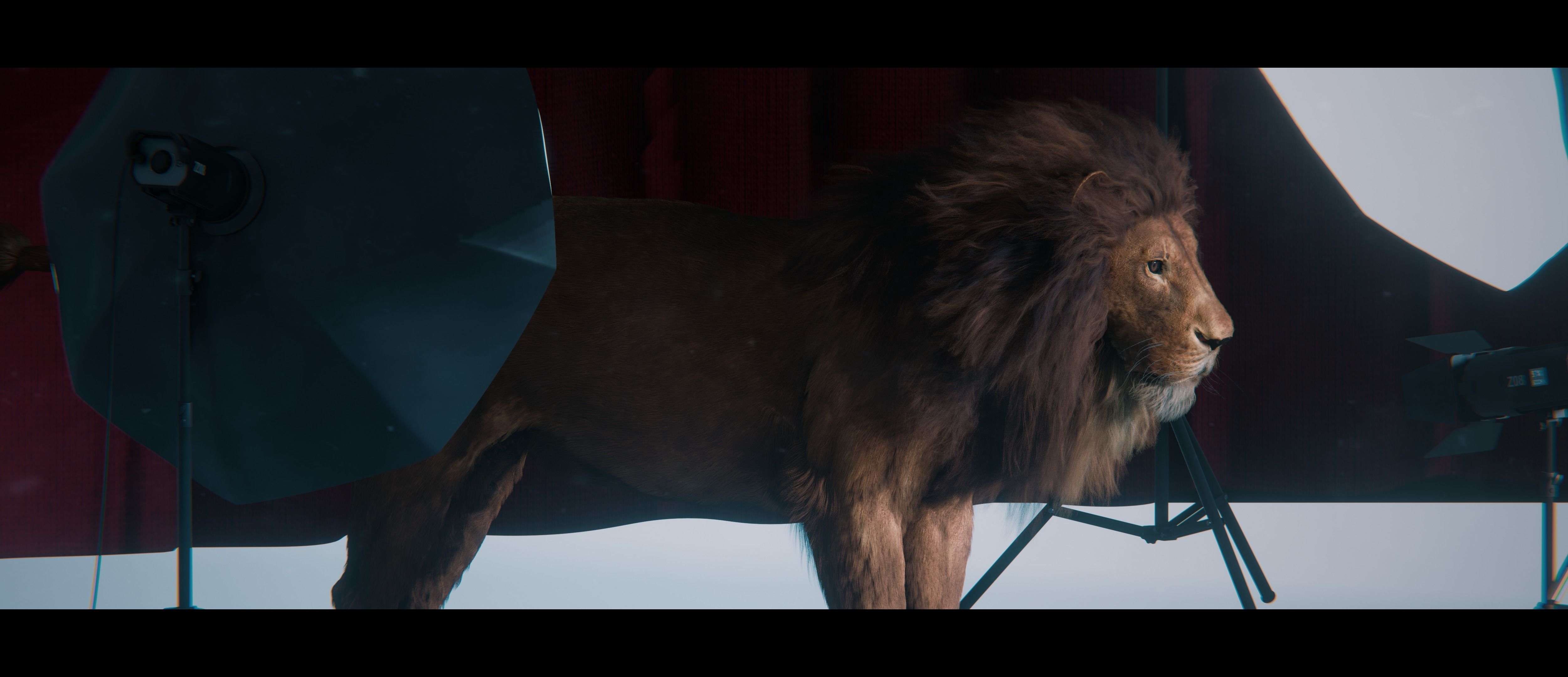 Lion Photorealistic Rigged 3d Blender 4K model  3D model_34