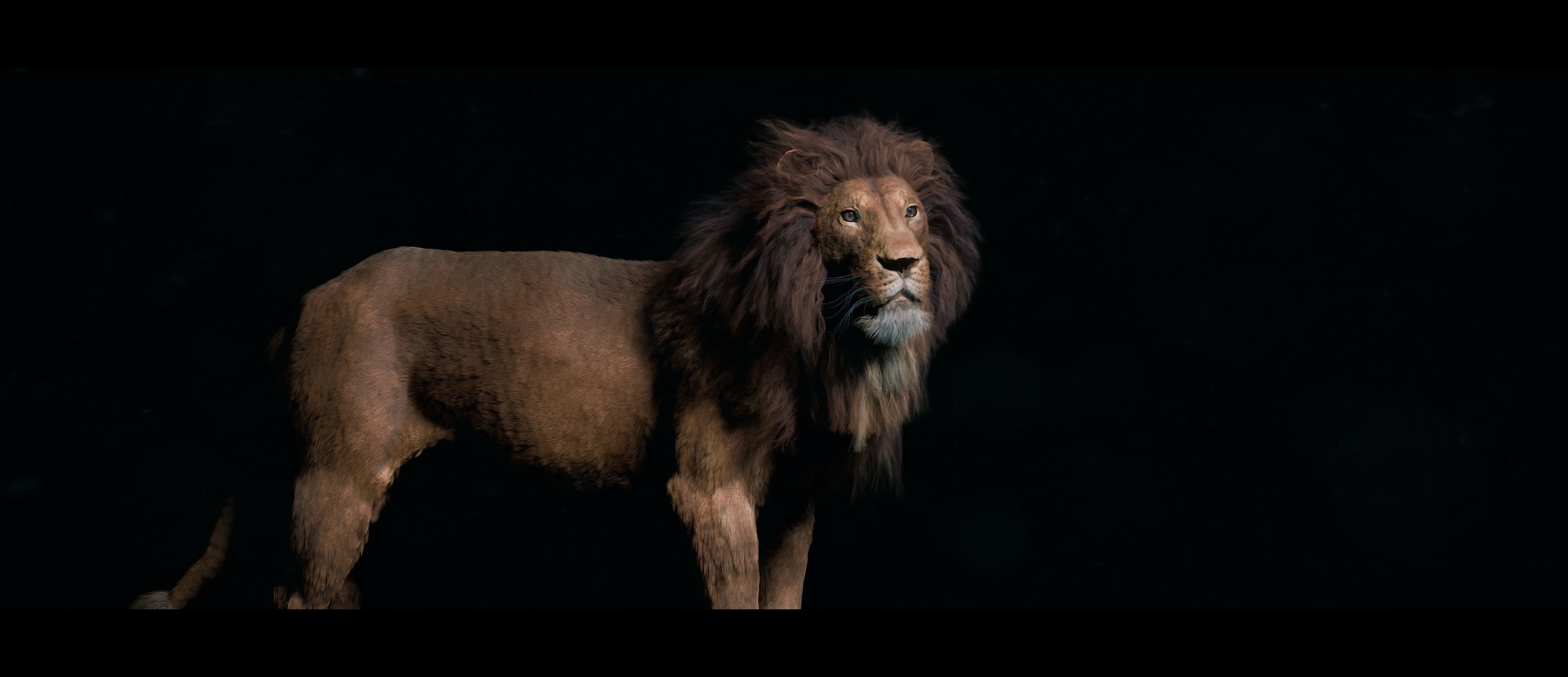 Lion Photorealistic Rigged 3d Blender 4K model  3D model_21