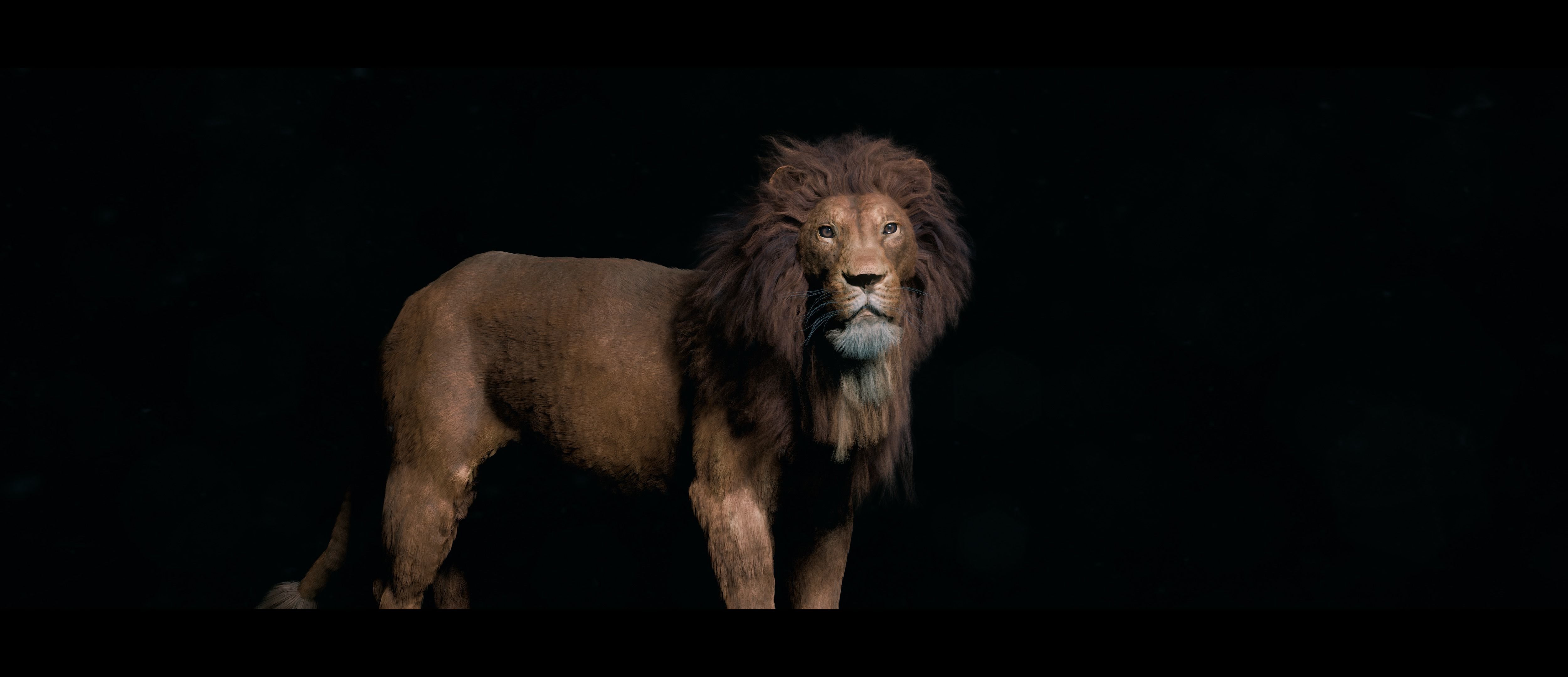 Lion Photorealistic Rigged 3d Blender 4K model  3D model_8