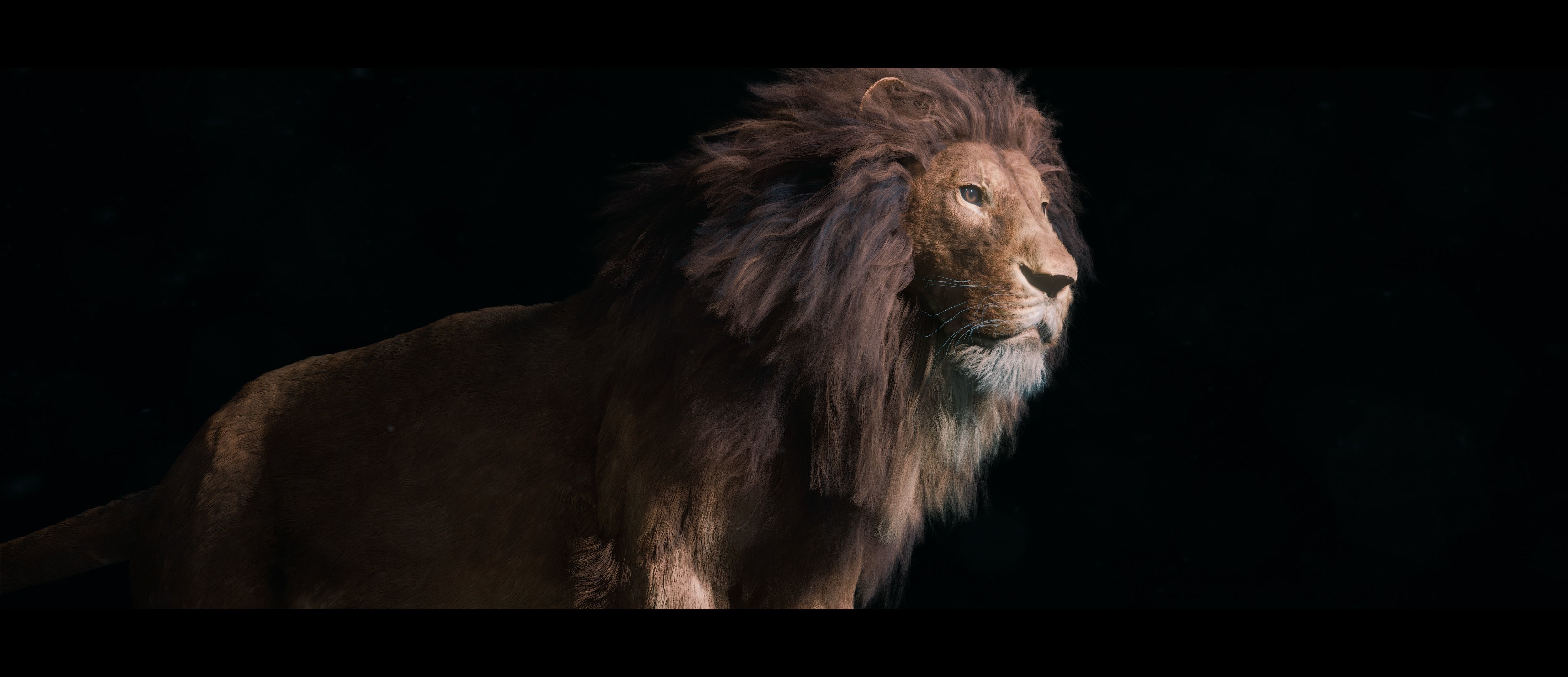 Lion Photorealistic Rigged 3d Blender 4K model  3D model_38