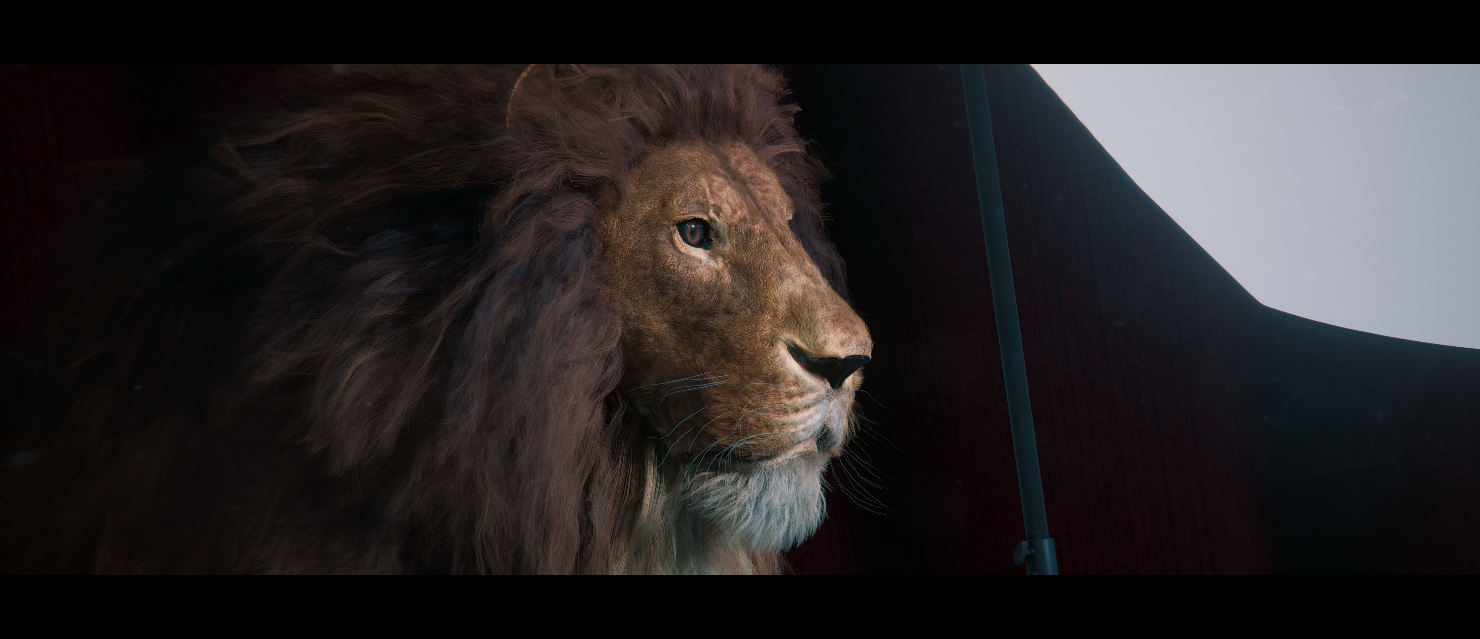 Lion Photorealistic Rigged 3d Blender 4K model  3D model_50