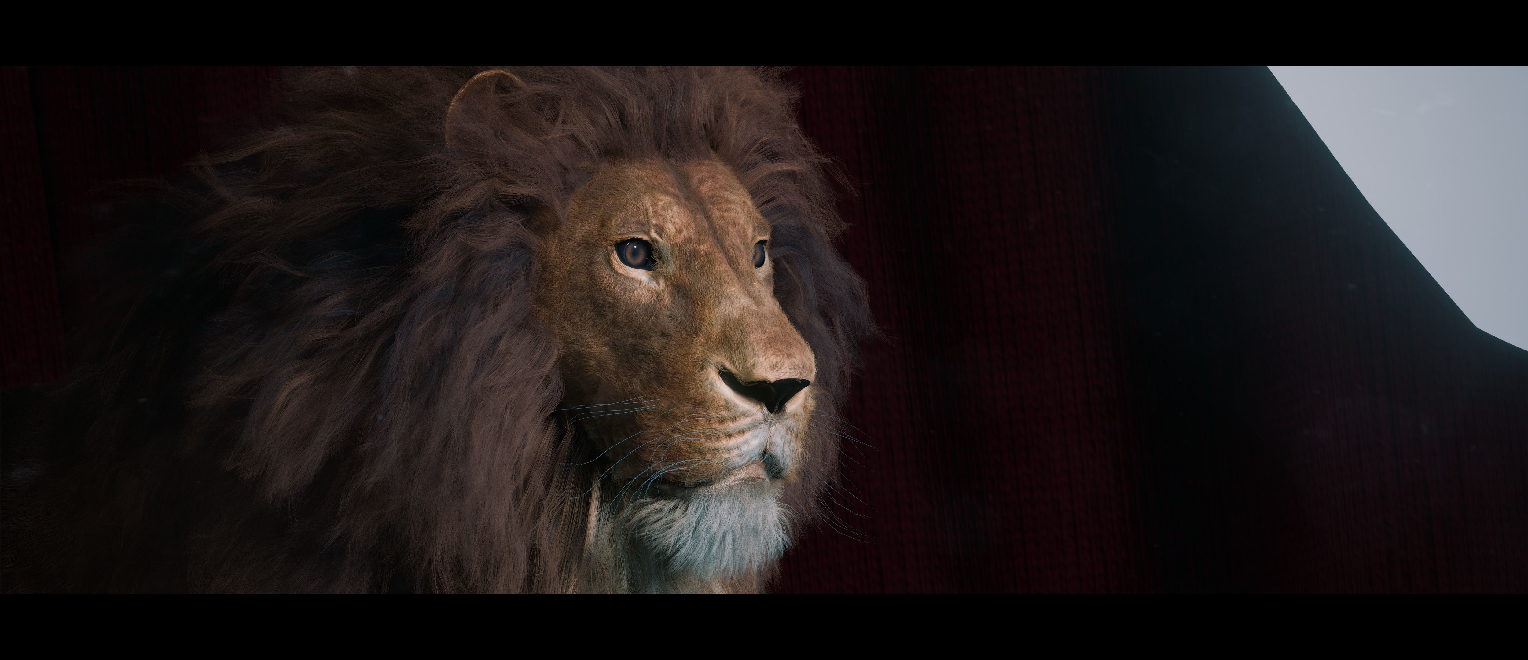 Lion Photorealistic Rigged 3d Blender 4K model  3D model_44
