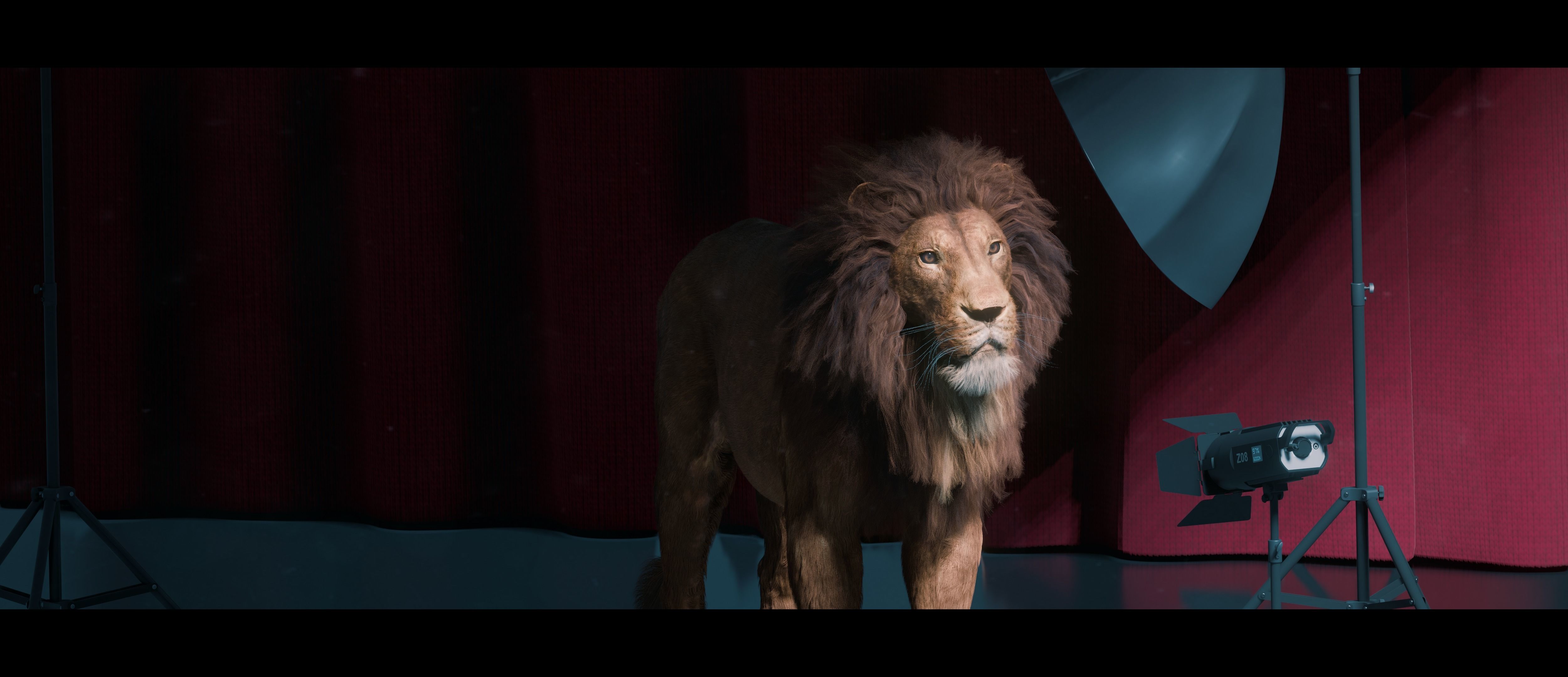 Lion Photorealistic Rigged 3d Blender 4K model  3D model_31