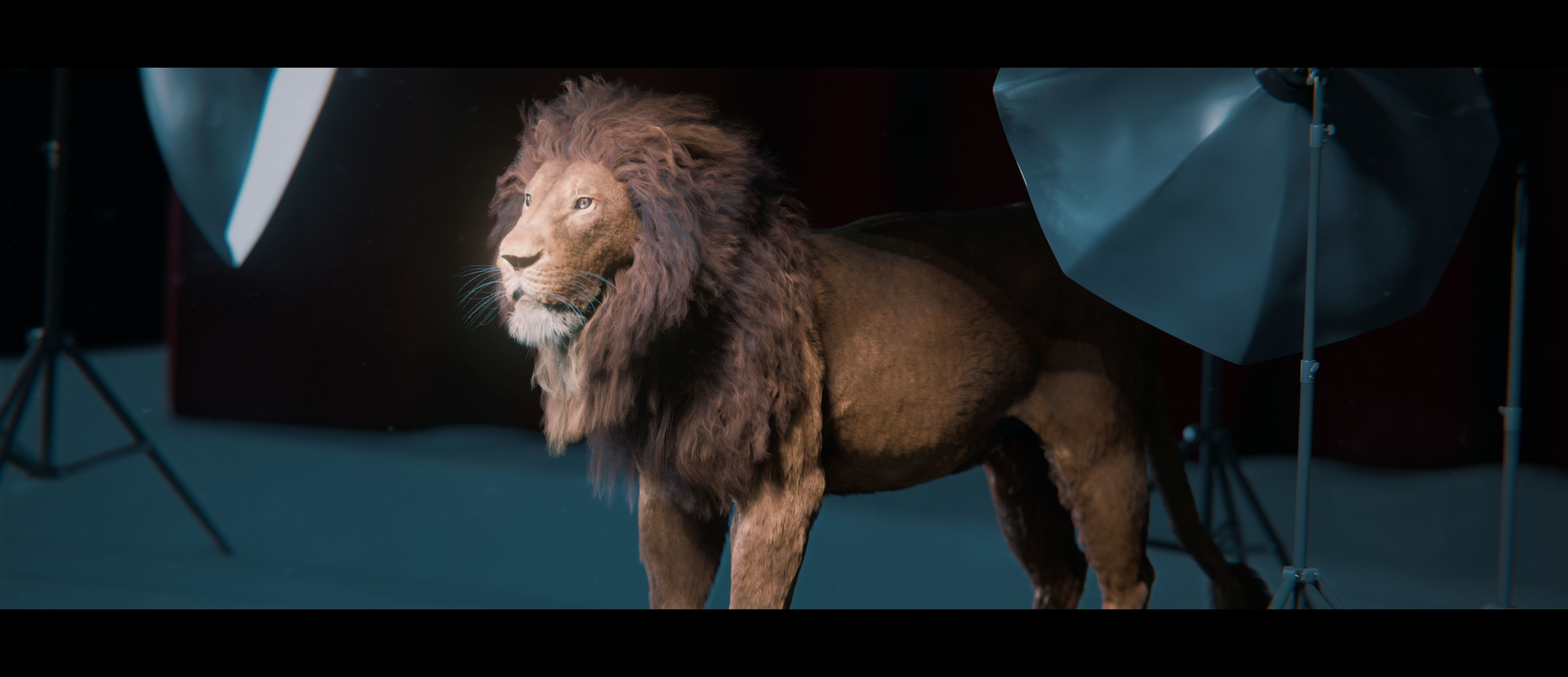 Lion Photorealistic Rigged 3d Blender 4K model  3D model_14