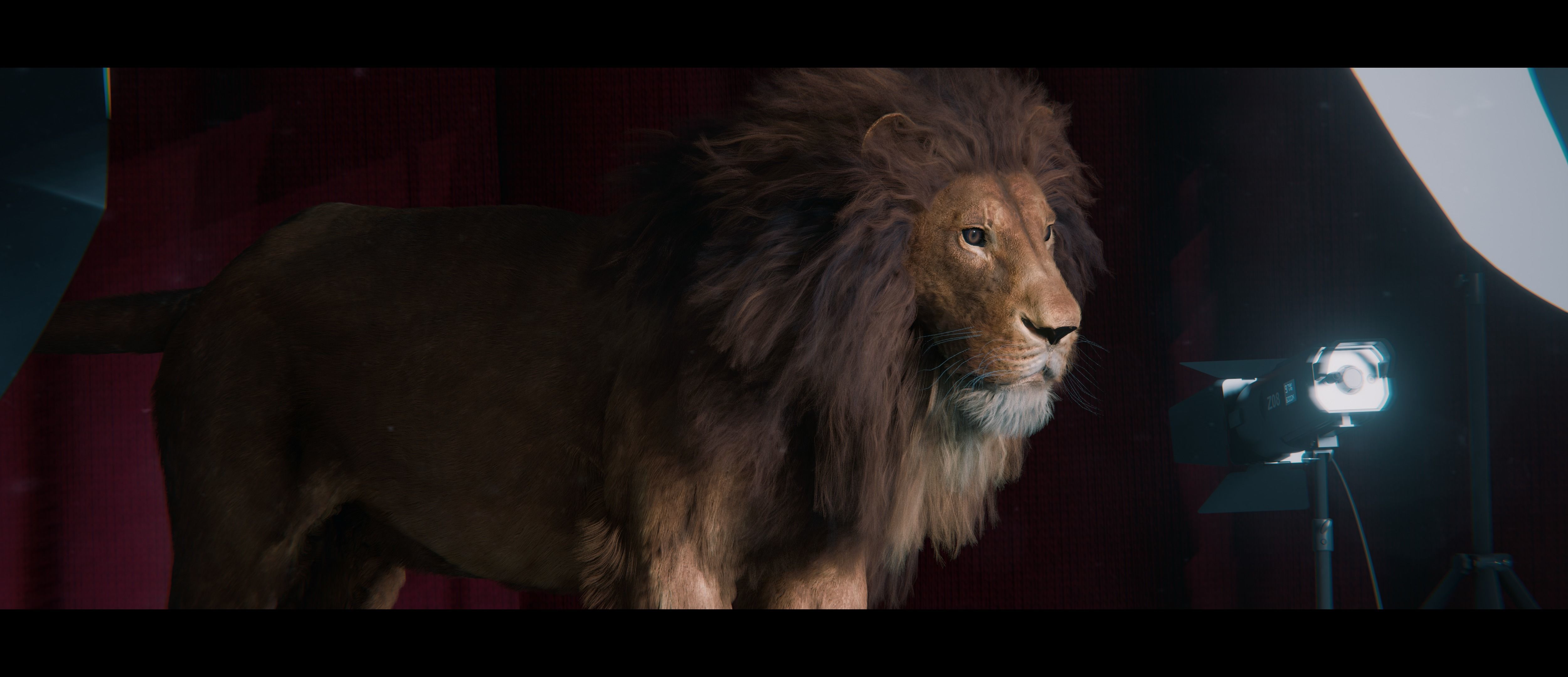 Lion Photorealistic Rigged 3d Blender 4K model  3D model_27