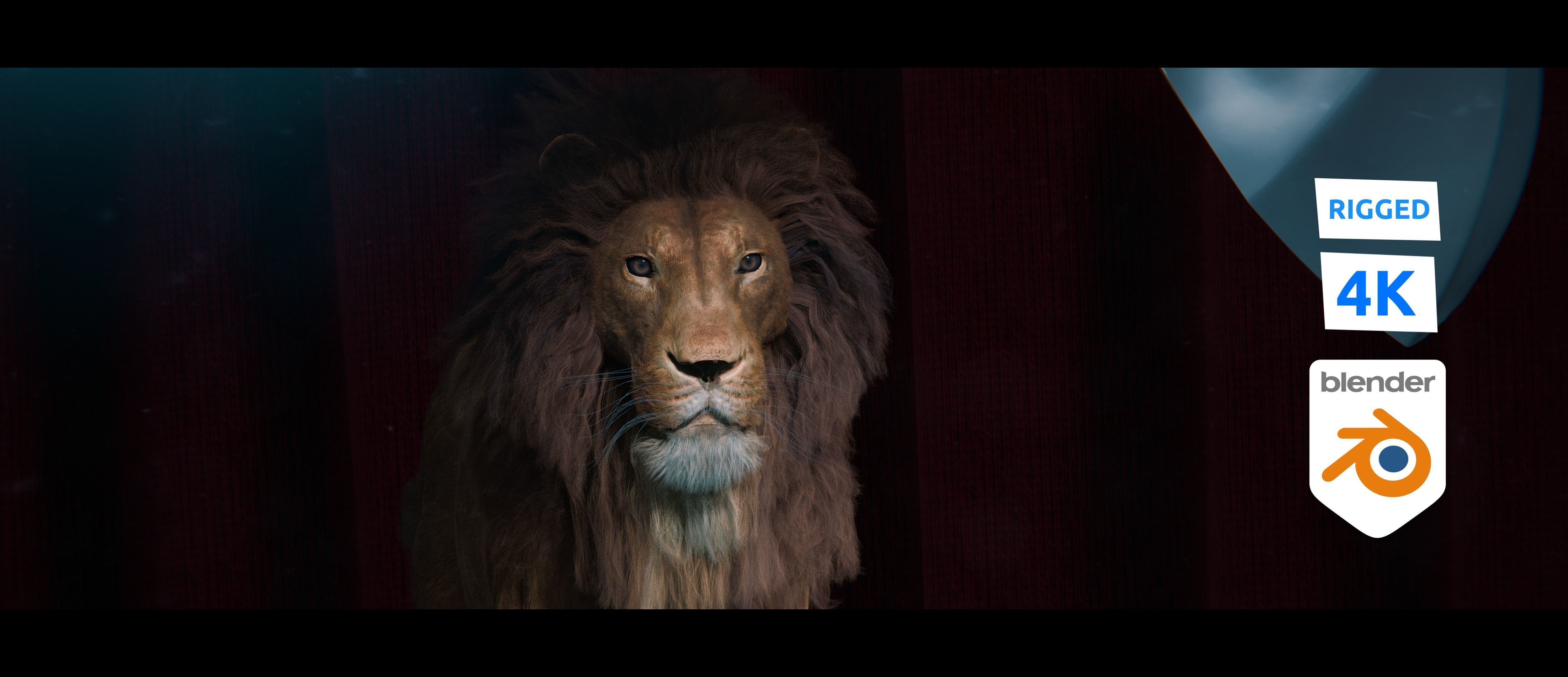 Lion Photorealistic Rigged 3d Blender 4K model  3D model_43