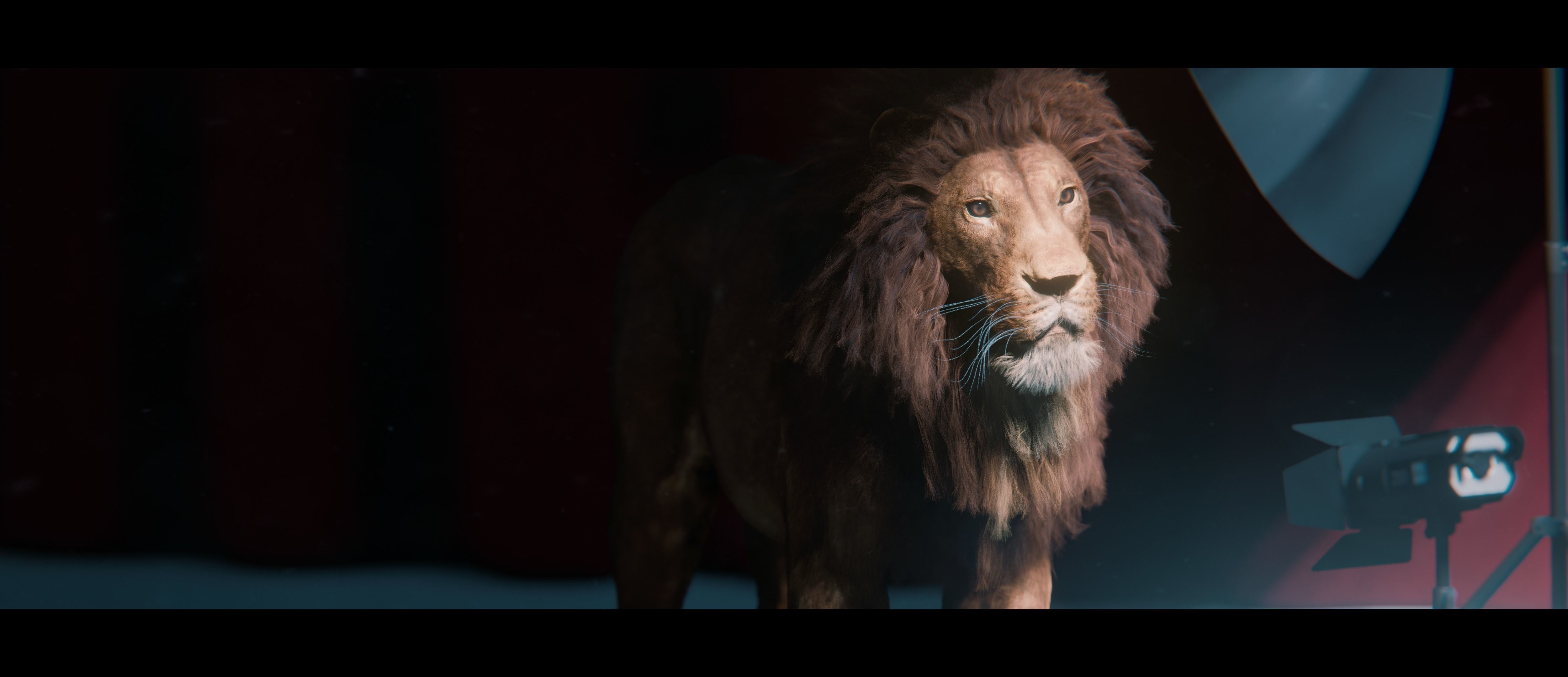 Lion Photorealistic Rigged 3d Blender 4K model  3D model_13