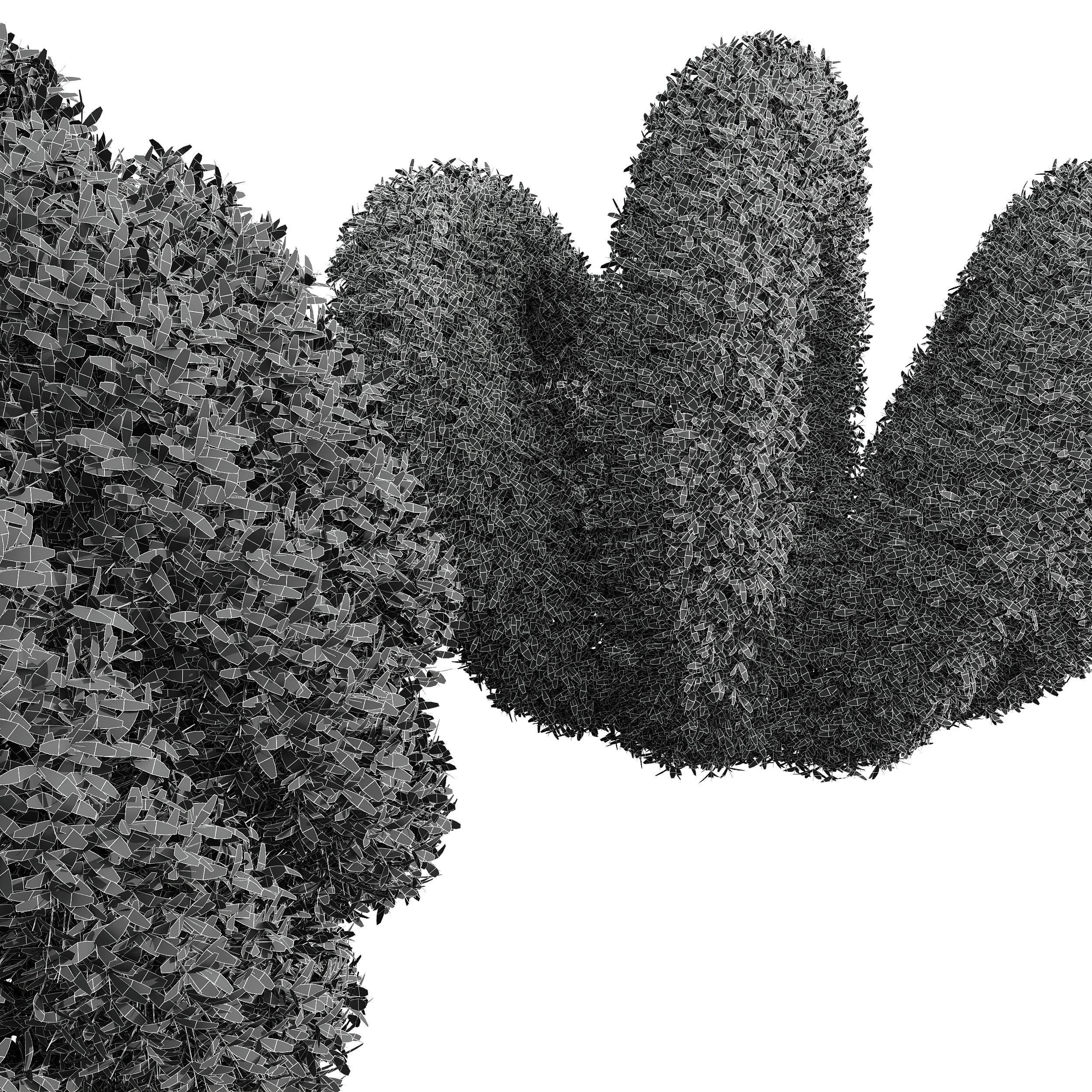 Bacopa Diffusa Sutera Decorative Ligustrum Quihoui Privet Pruned 3D model_4