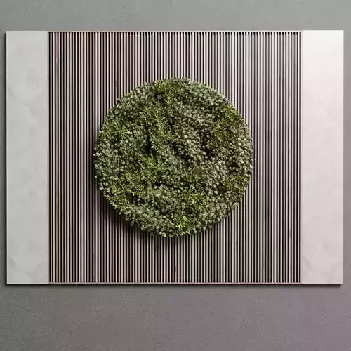 Circle Garden Wall Plant With Wooden Frame 43