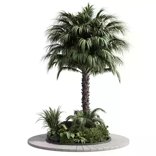 Palm garden - Outdoor plant Collection 138