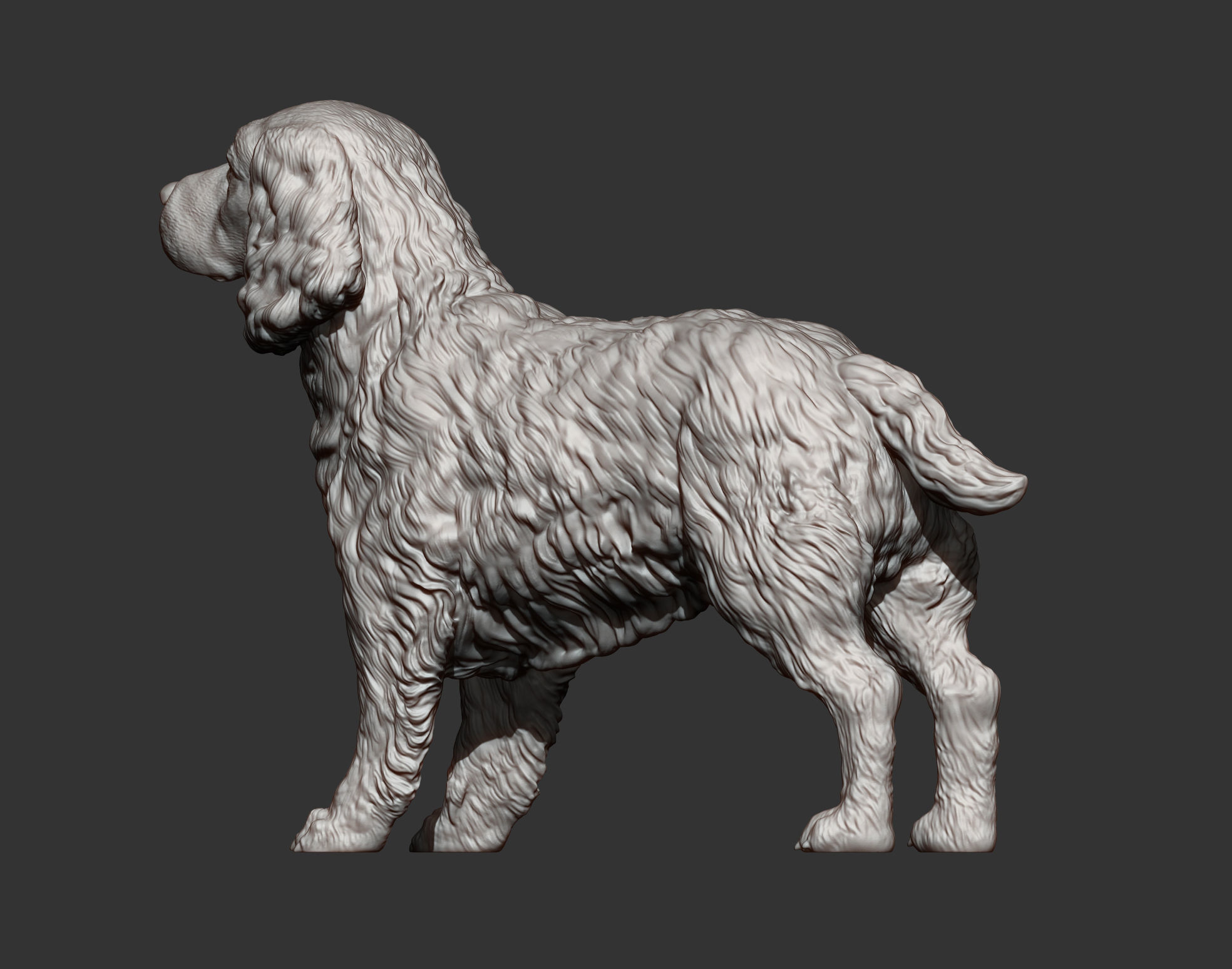 English Springer spaniel 3D print model_8