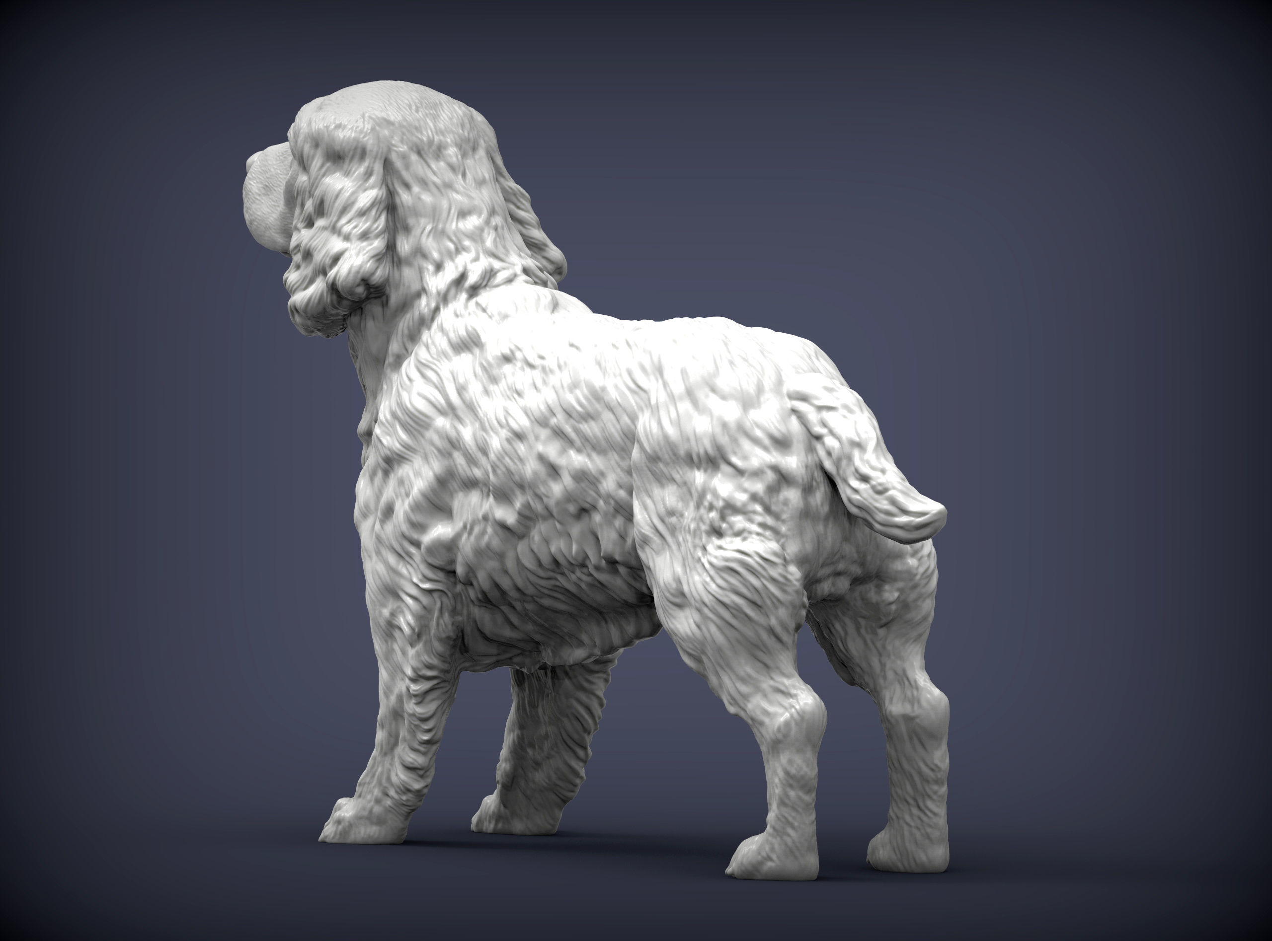 English Springer spaniel 3D print model_6