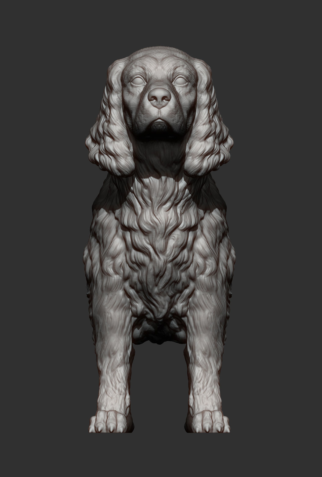 English Springer spaniel 3D print model_10