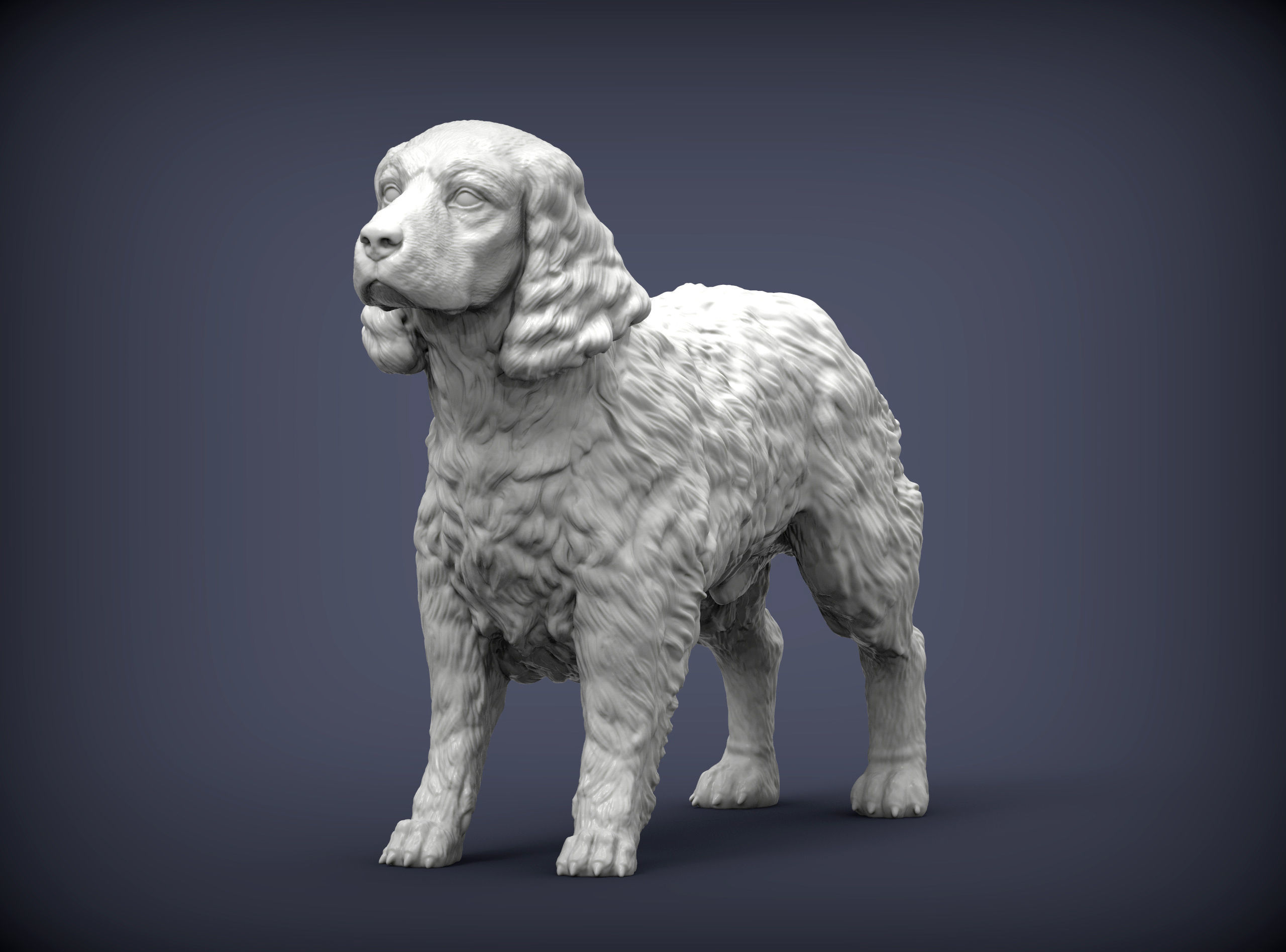 English Springer spaniel 3D print model_2