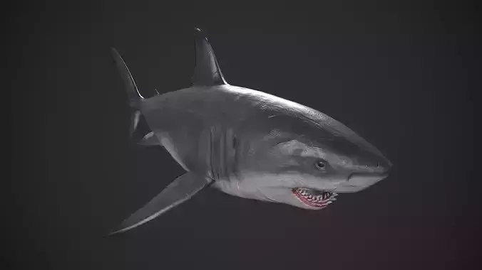 Great White Shark Low-poly 3D model