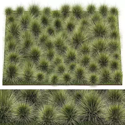 decorative bushes feather grass grass for landscape design 1150 3D model