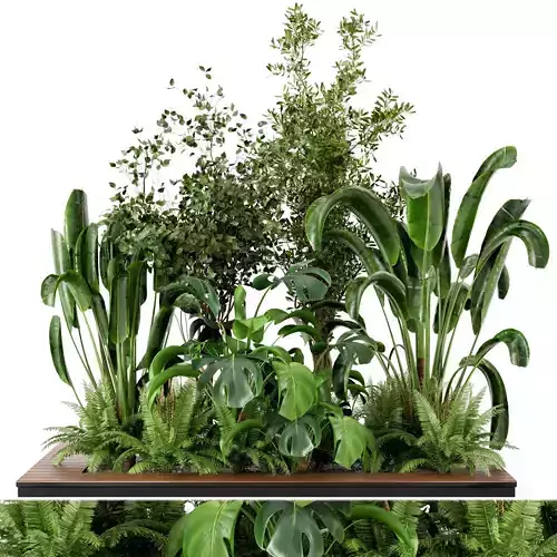 Outdoor Garden set bush and Tree - Garden Set 19 3D model