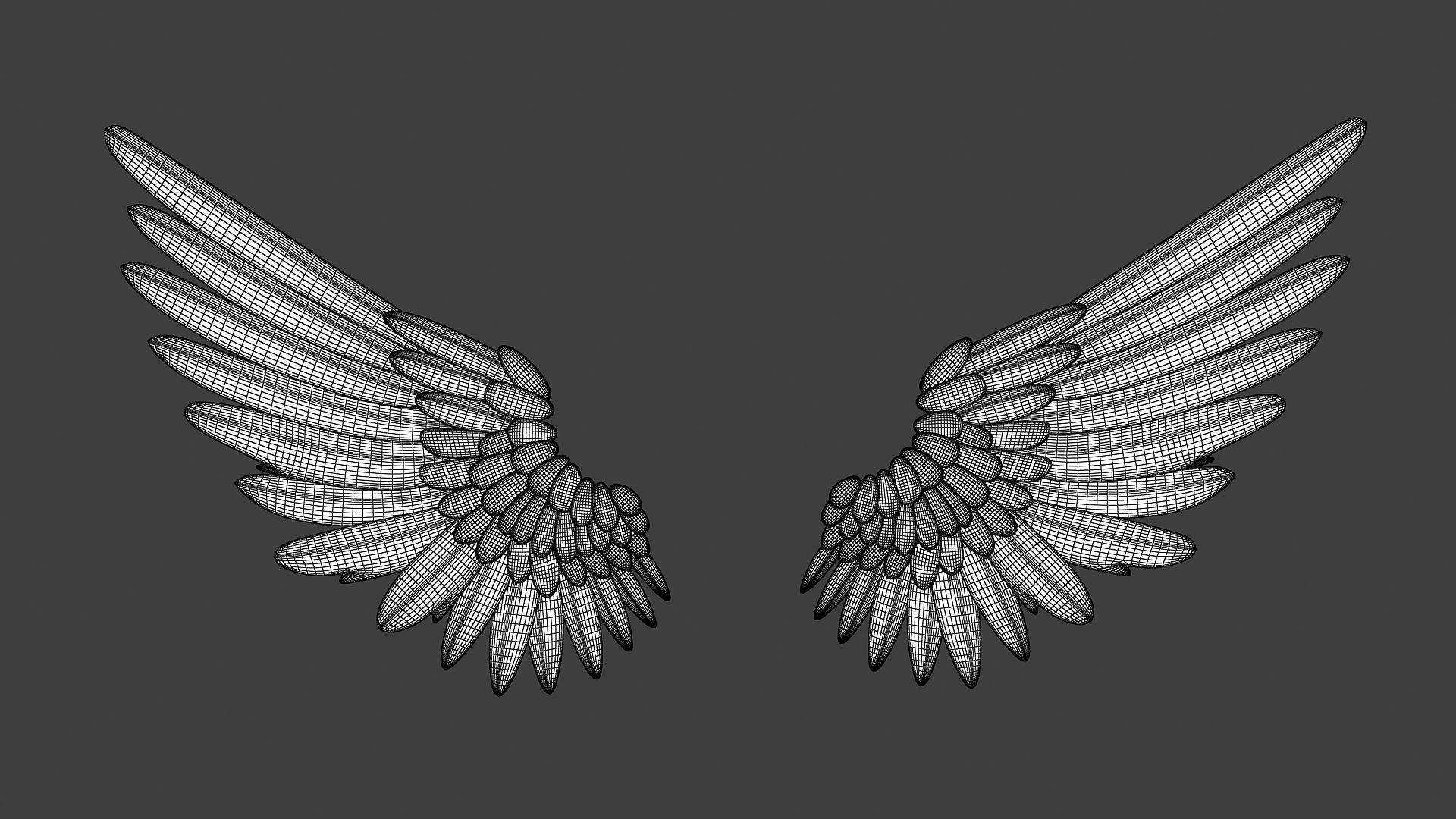 Angel Wings 3D model_6