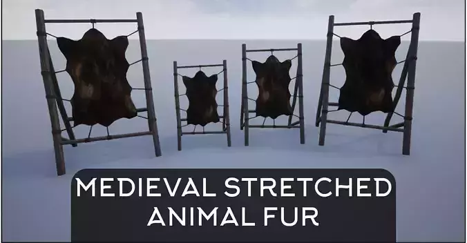 Medieval Stretched Skinned Animal Fur