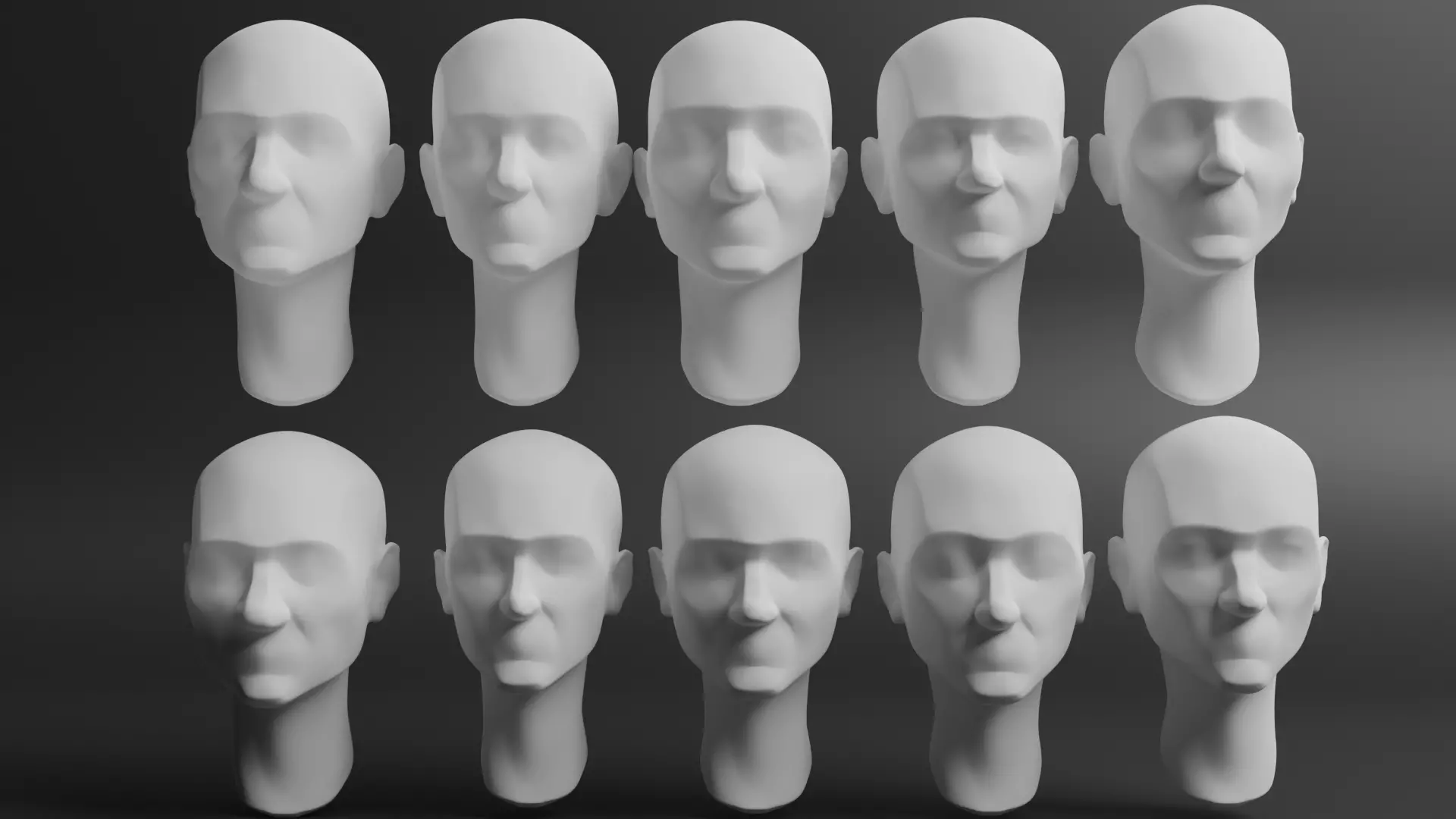 Female Head Ecorche 3D model | CGTrader