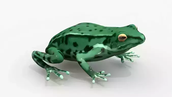 Low poly frog