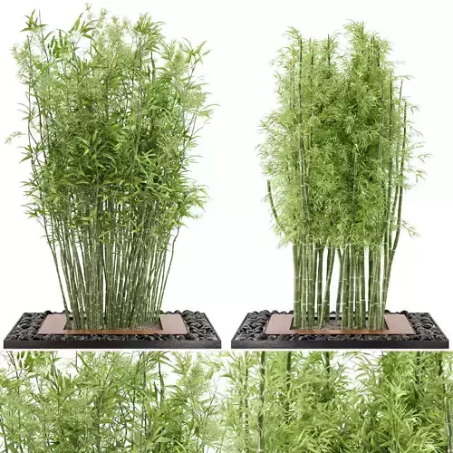 Outdoor Plants Bamboo Set  Garden Set 21  3D model
